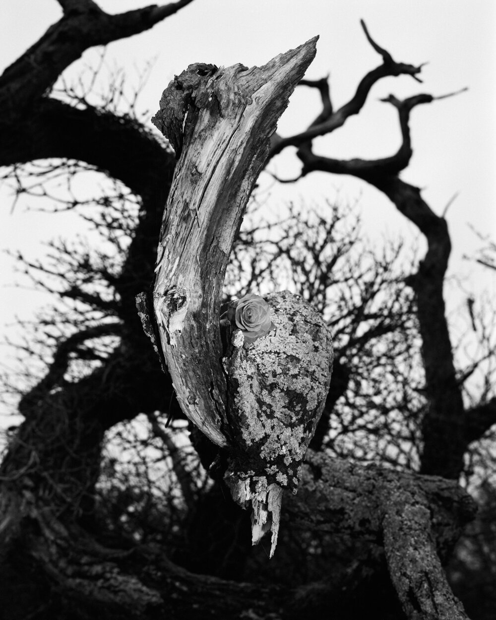 Image 3-2.jpg