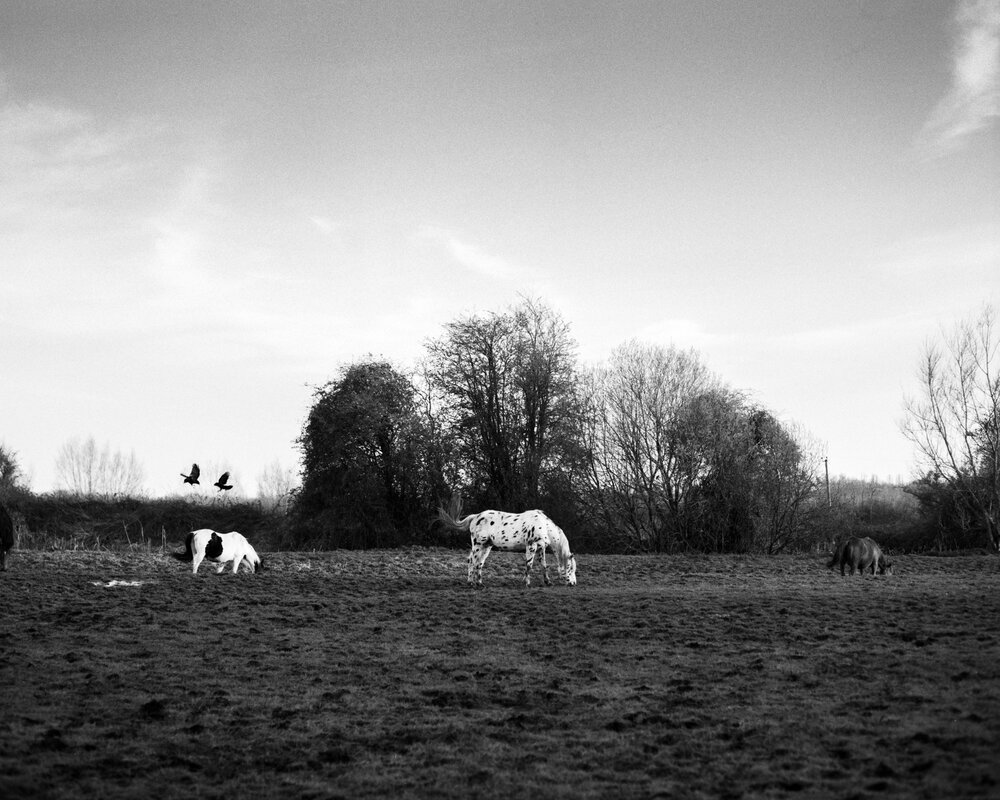Image 9.jpg