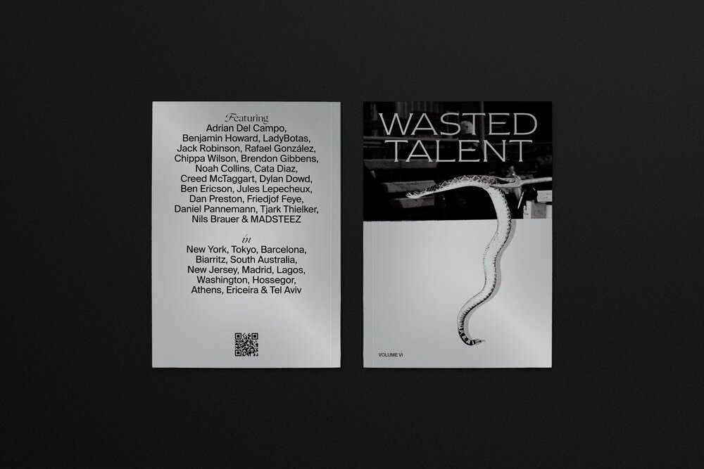Wasted Talent Volume VI cover.jpg