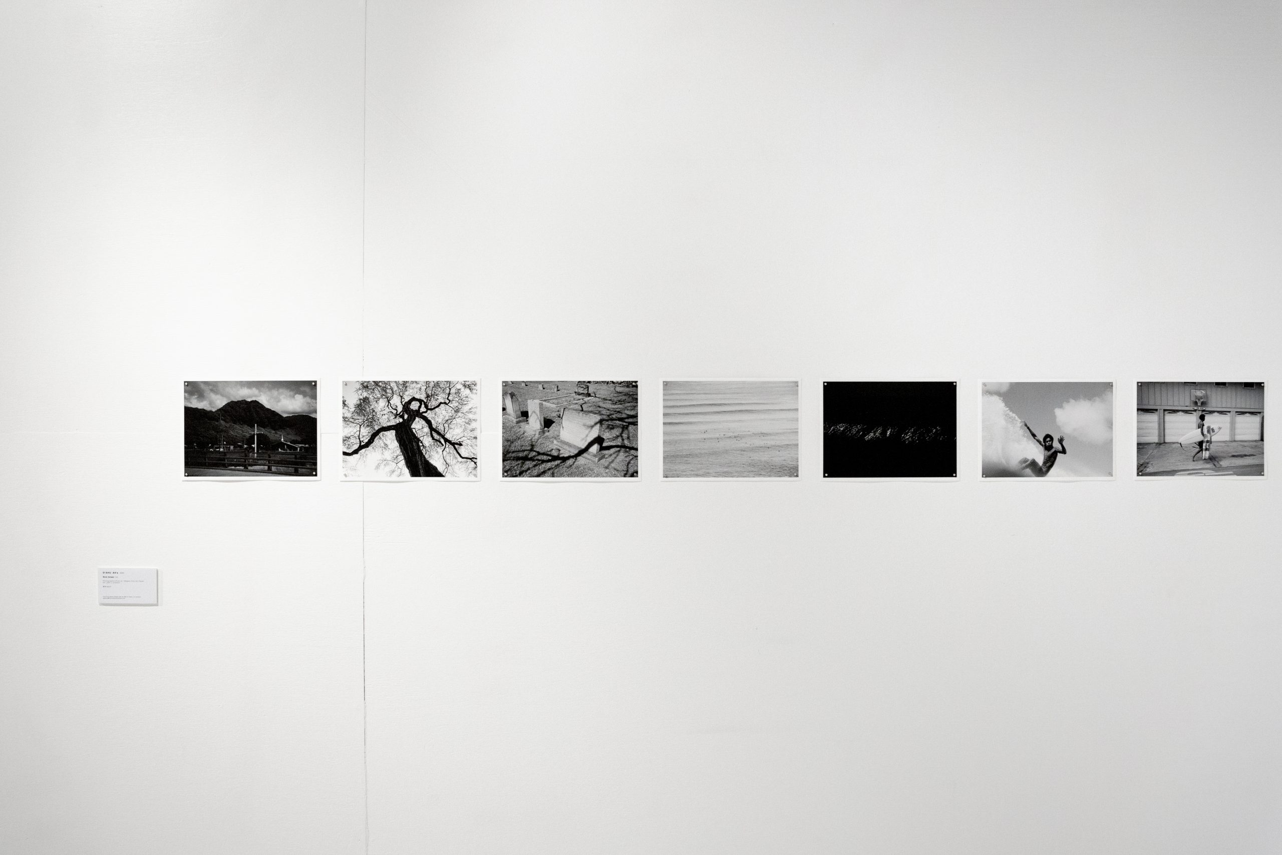 Oahu_NickGreen_Exhibition-15