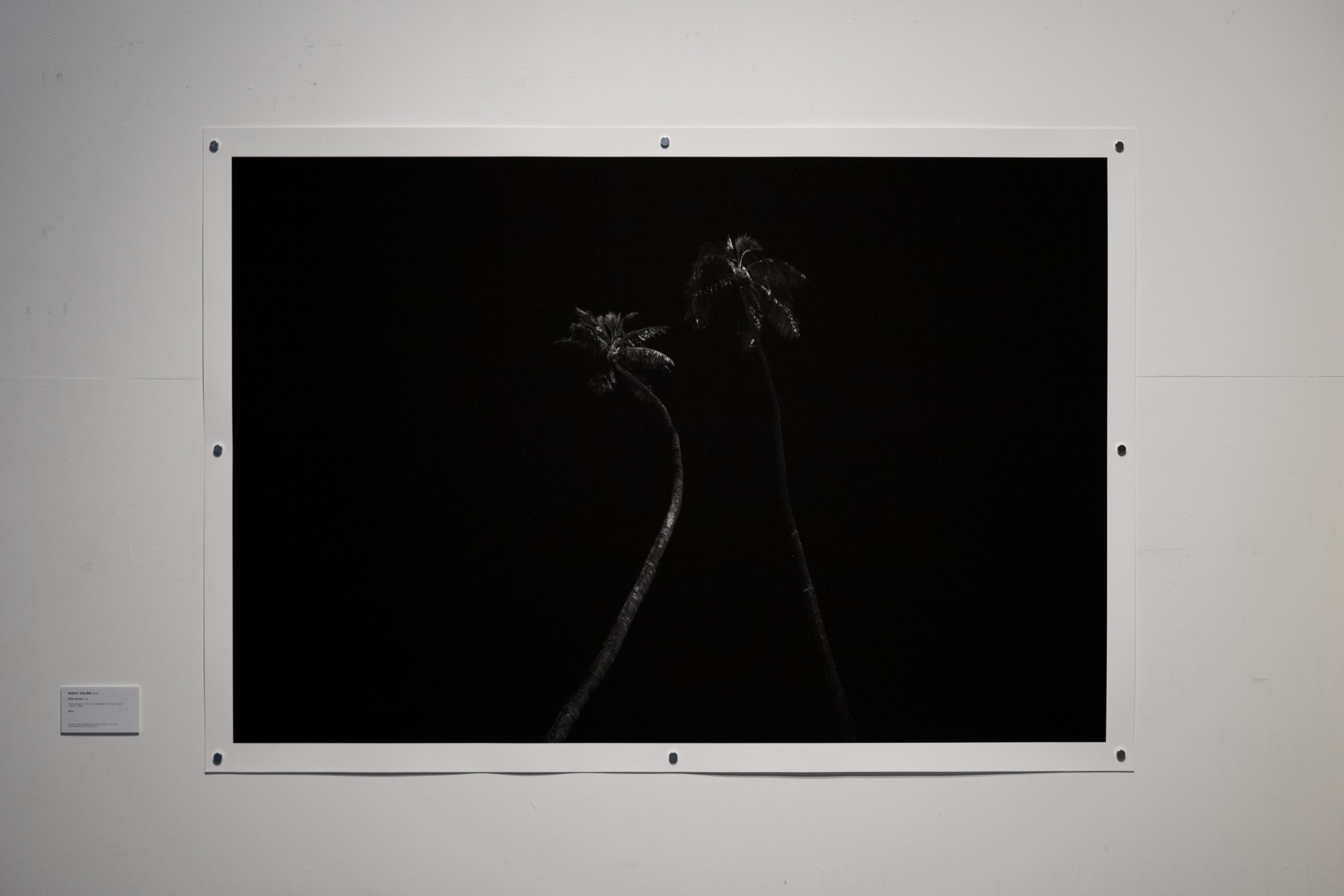 Oahu_NickGreen_Exhibition-41