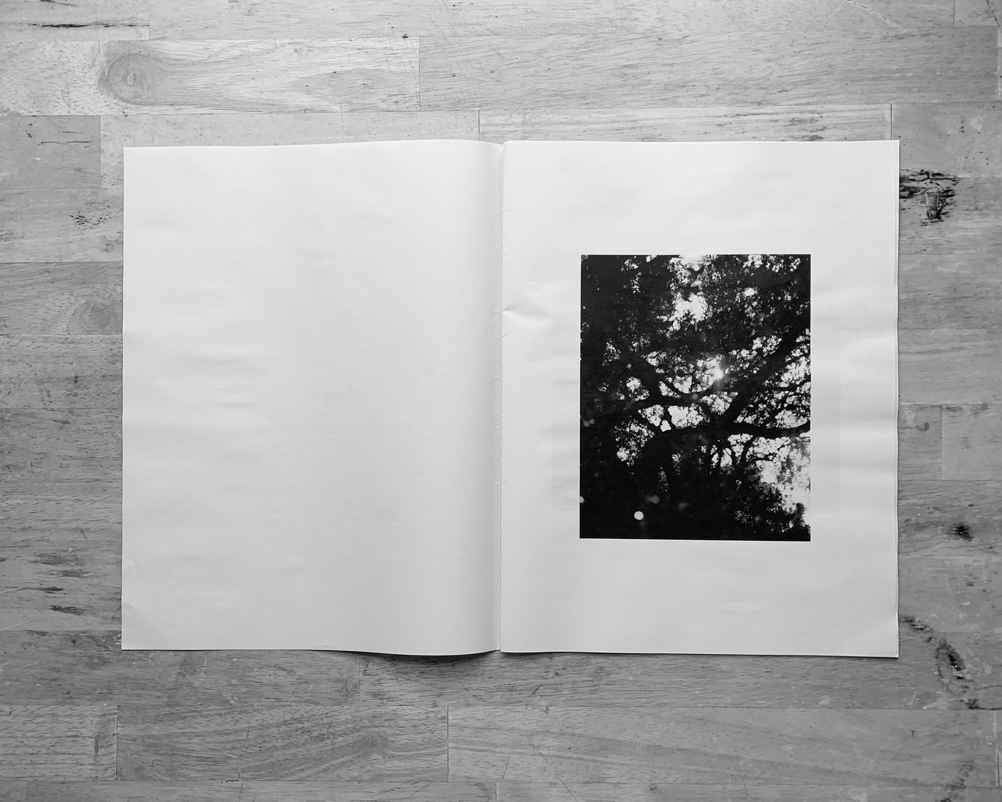 Paper Journal_Sam P Cashmore_03.jpg