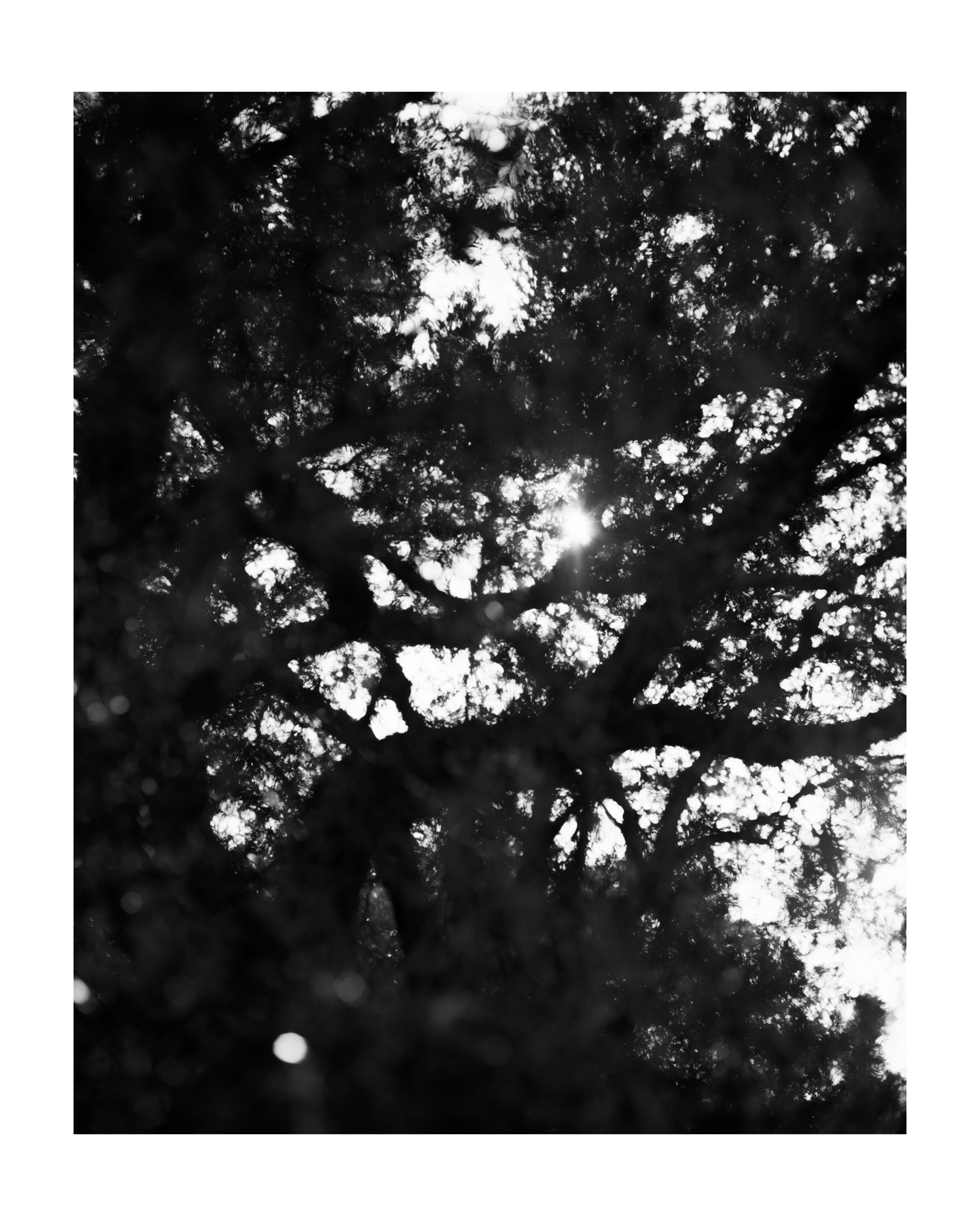 Paper Journal_Sam P Cashmore_04.jpg