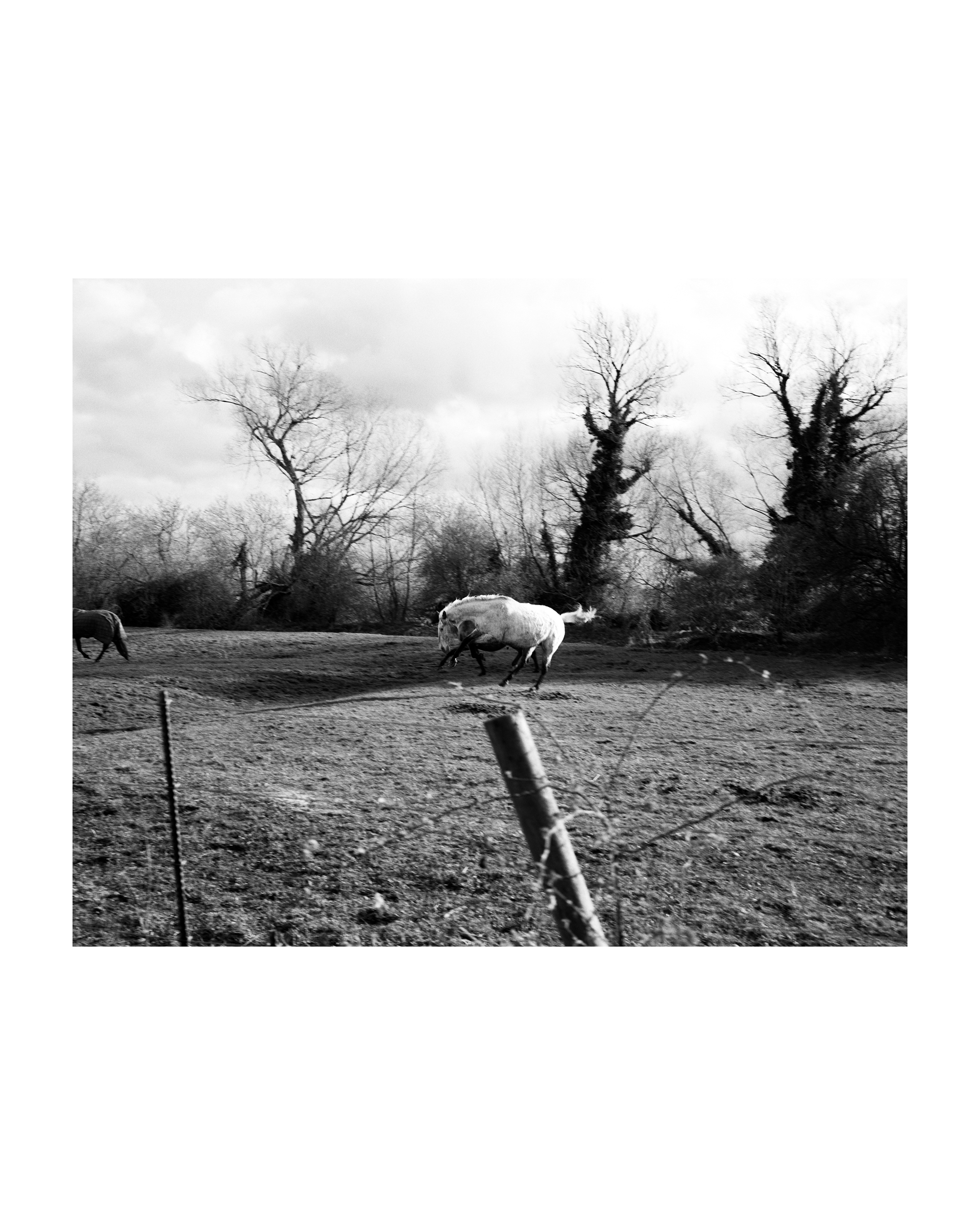 Paper Journal_Sam P Cashmore_05.jpg