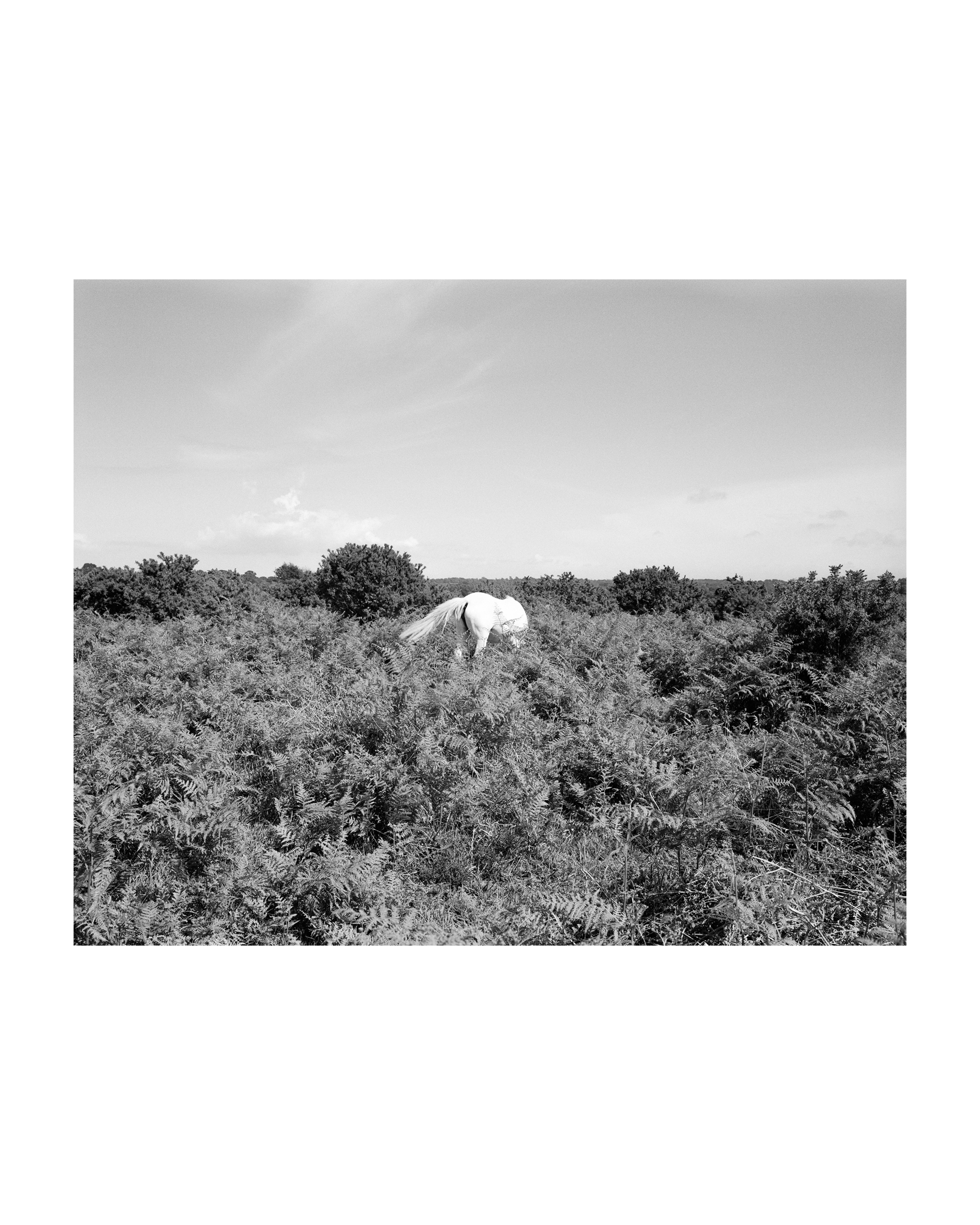 Paper Journal_Sam P Cashmore_09.jpg