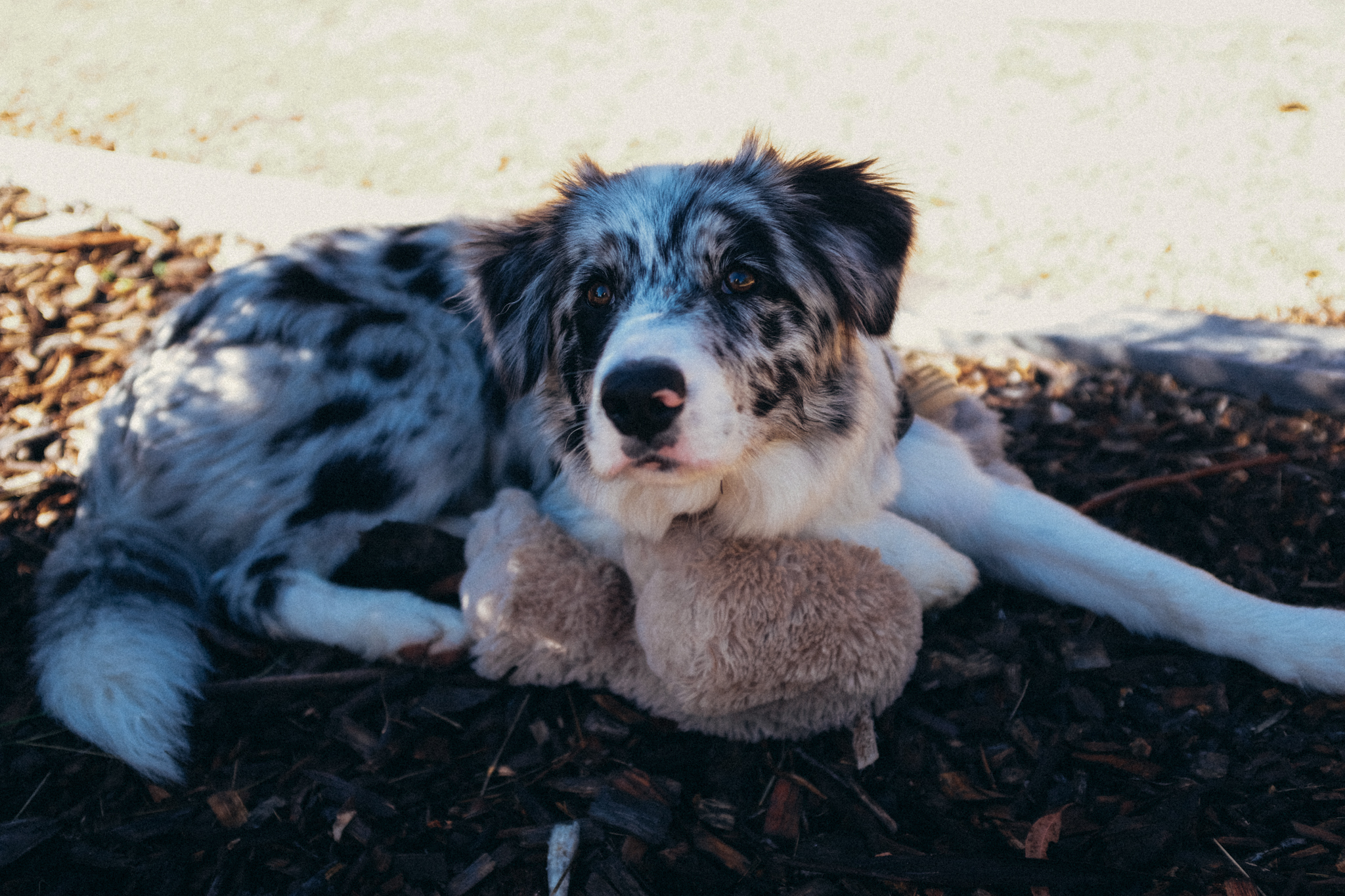 WASTED TALENT WEB-29