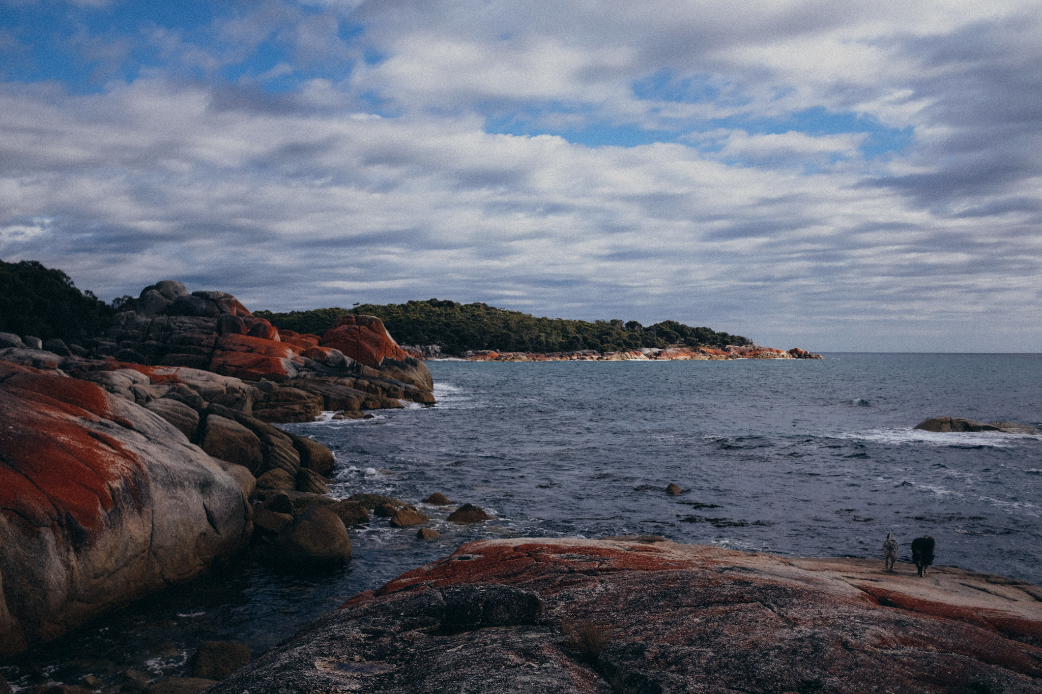 WASTED TALENT WEB-34