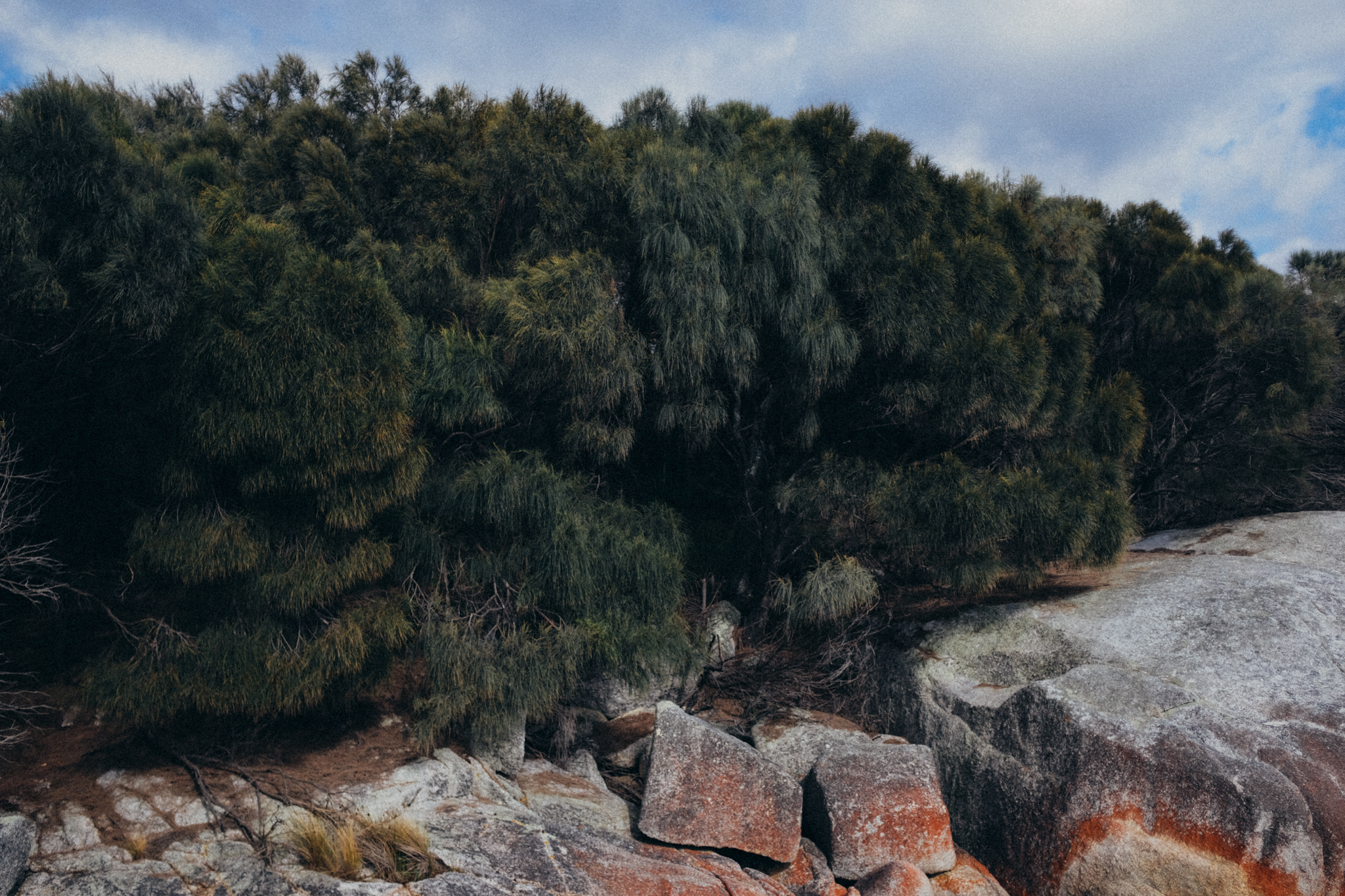 WASTED TALENT WEB-35