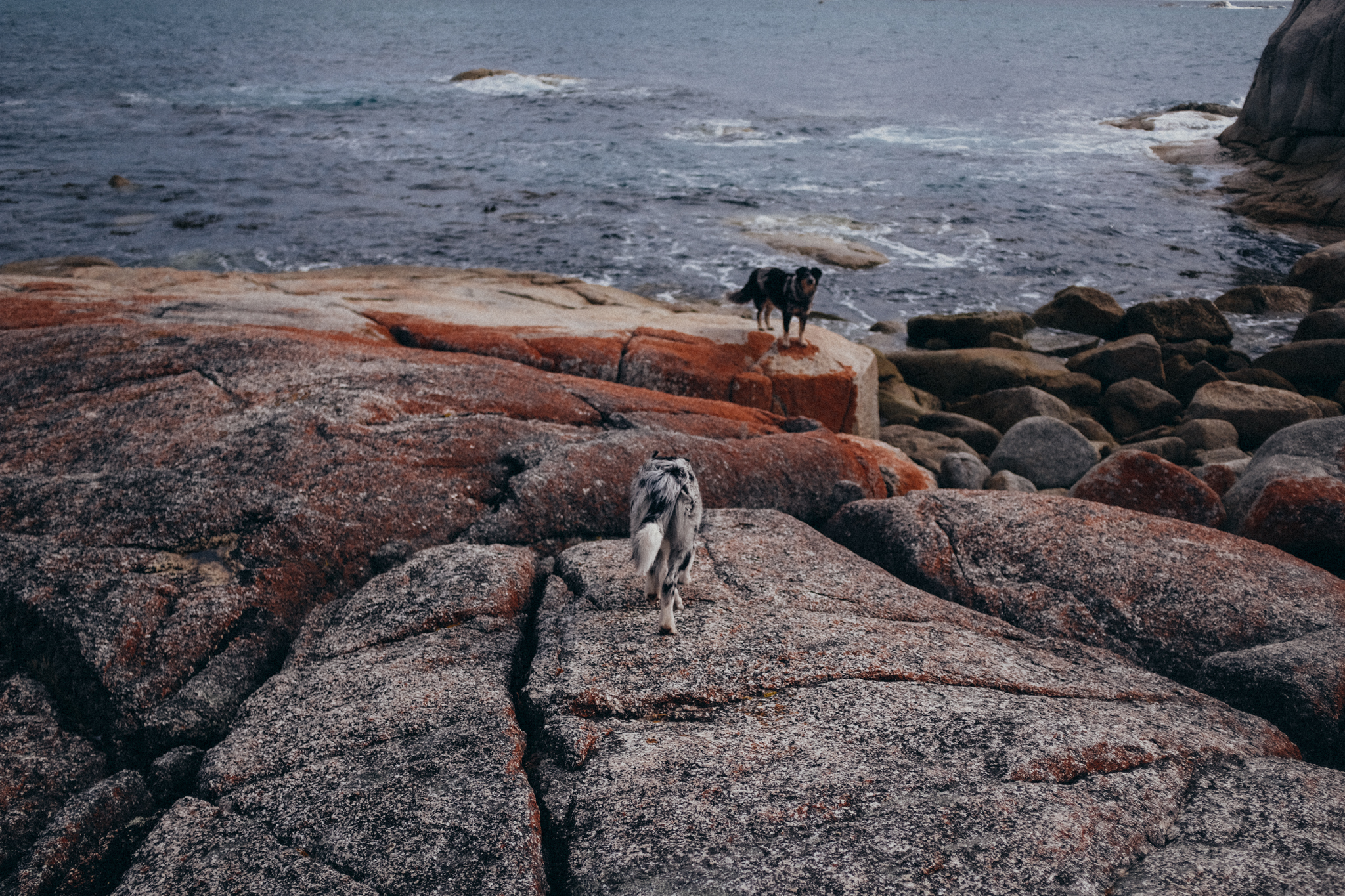 WASTED TALENT WEB-36