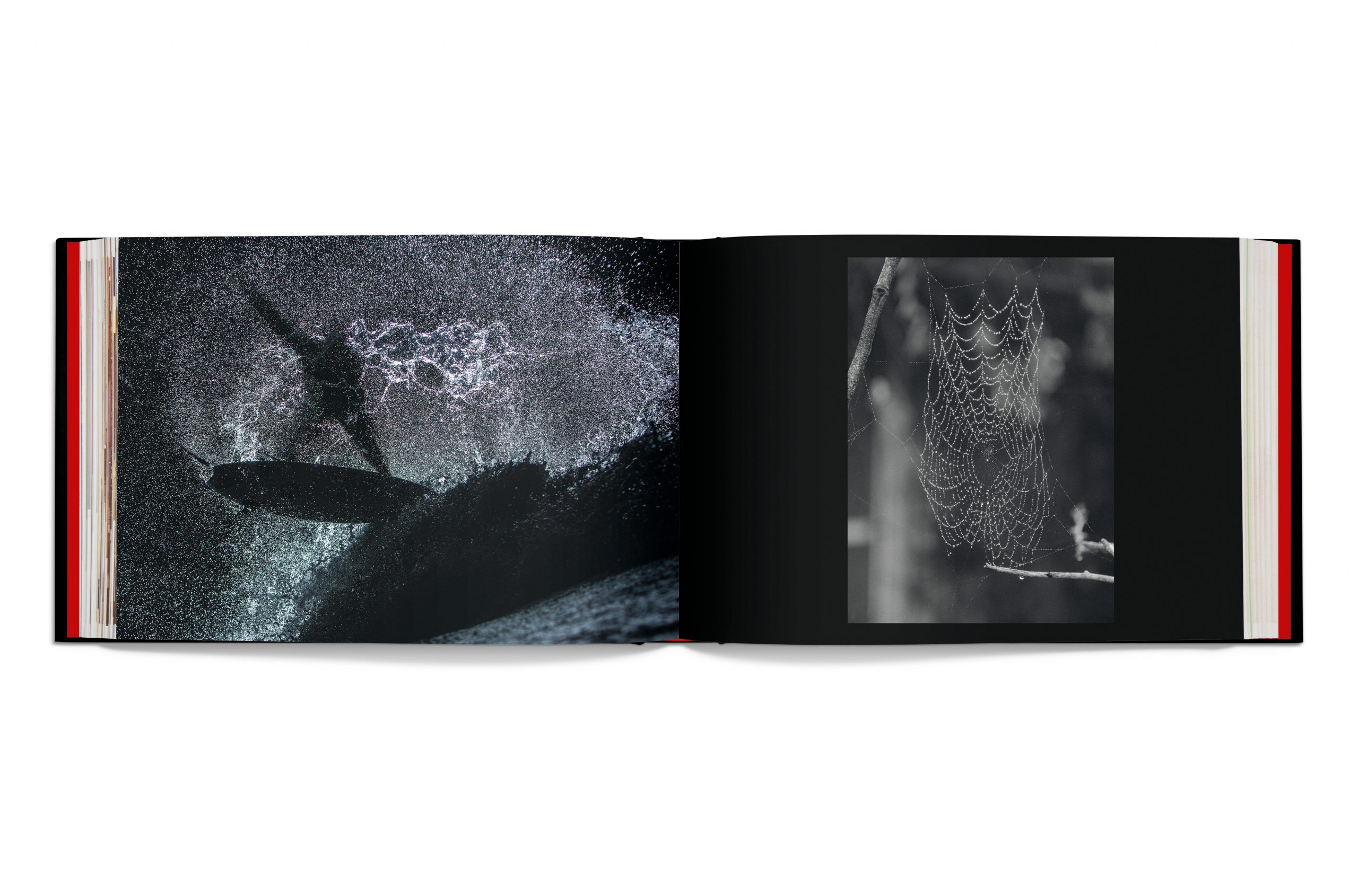 Dark_Hollow_Spread_02