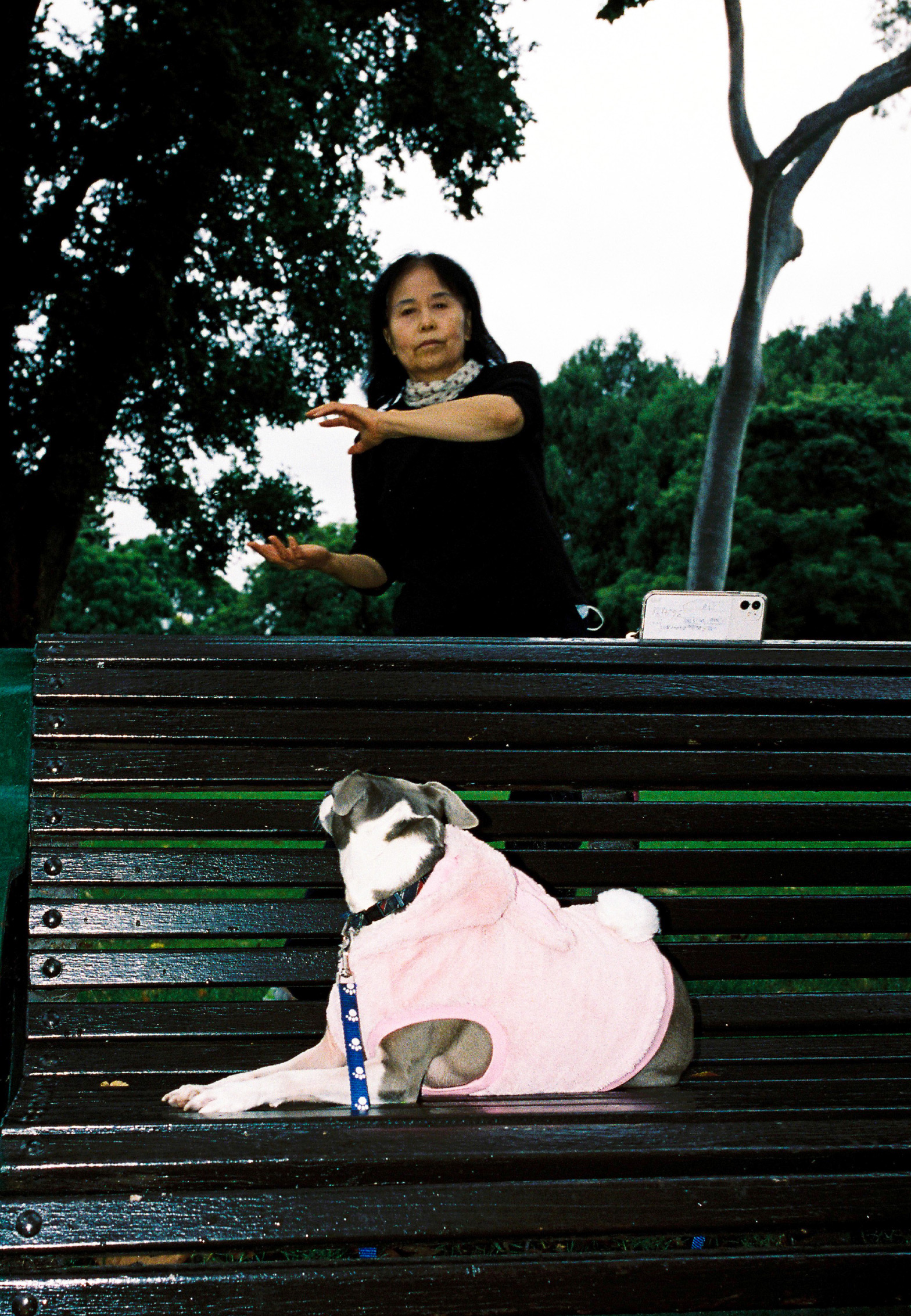 Rubberneck-Compressed-17