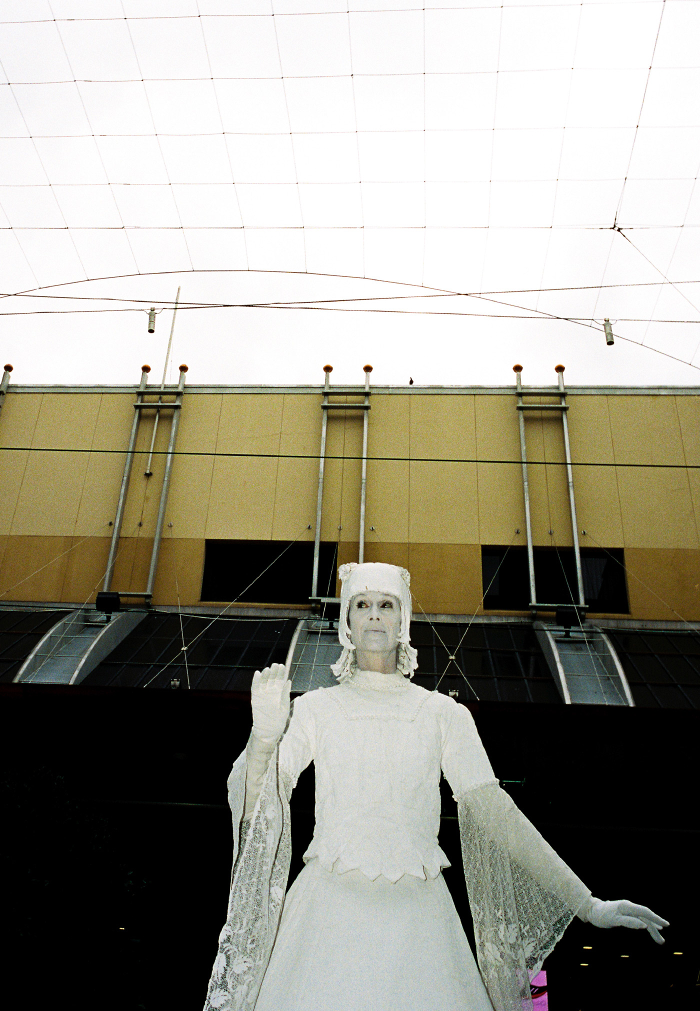 Rubberneck-Compressed-5