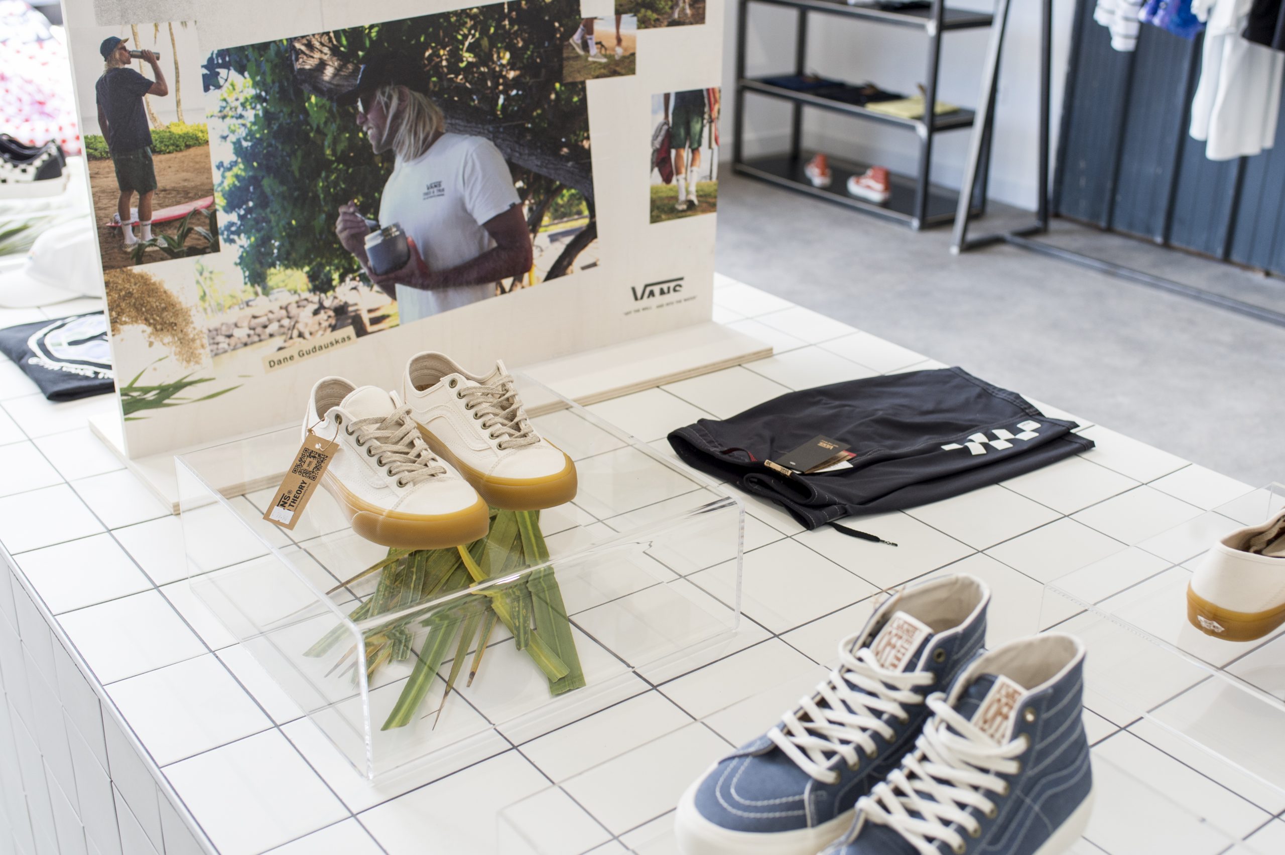 WastedTalent : VansDSC_5866