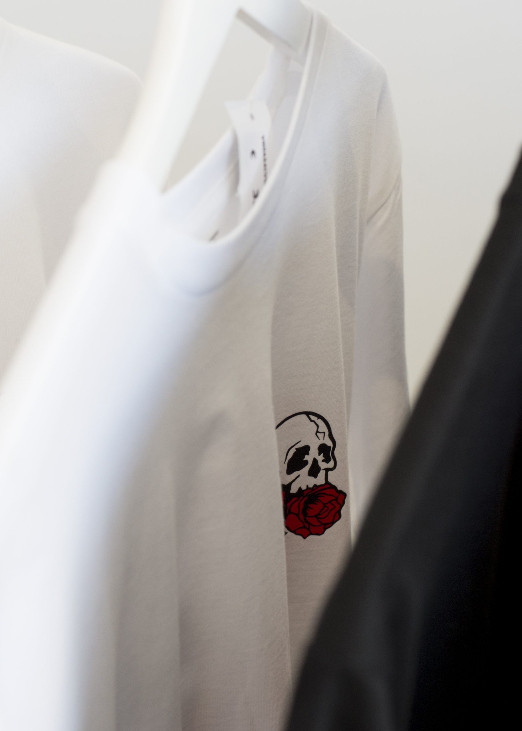 WastedTalent : VansDSC_5946