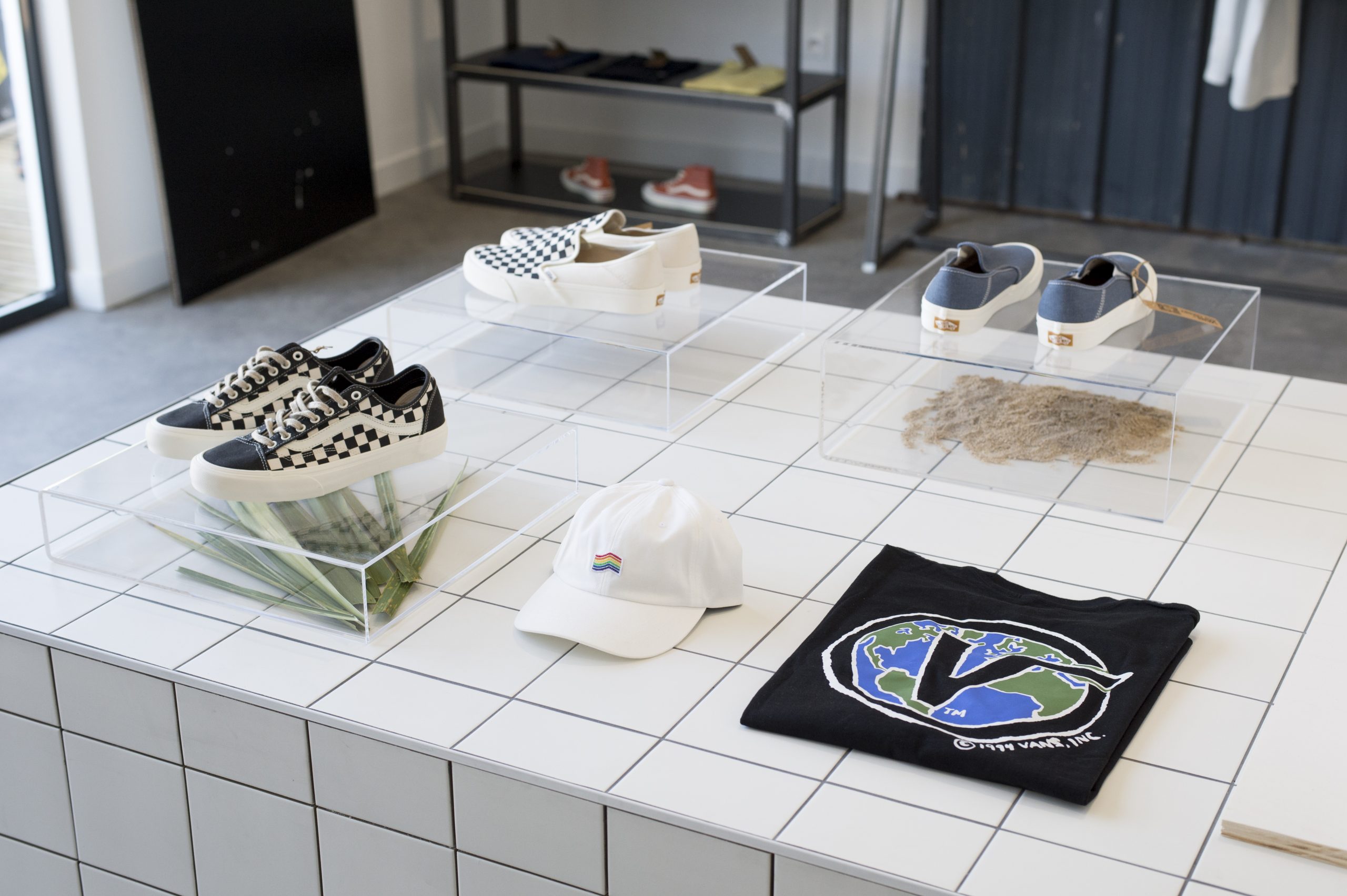 WastedTalent : VansDSC_5969