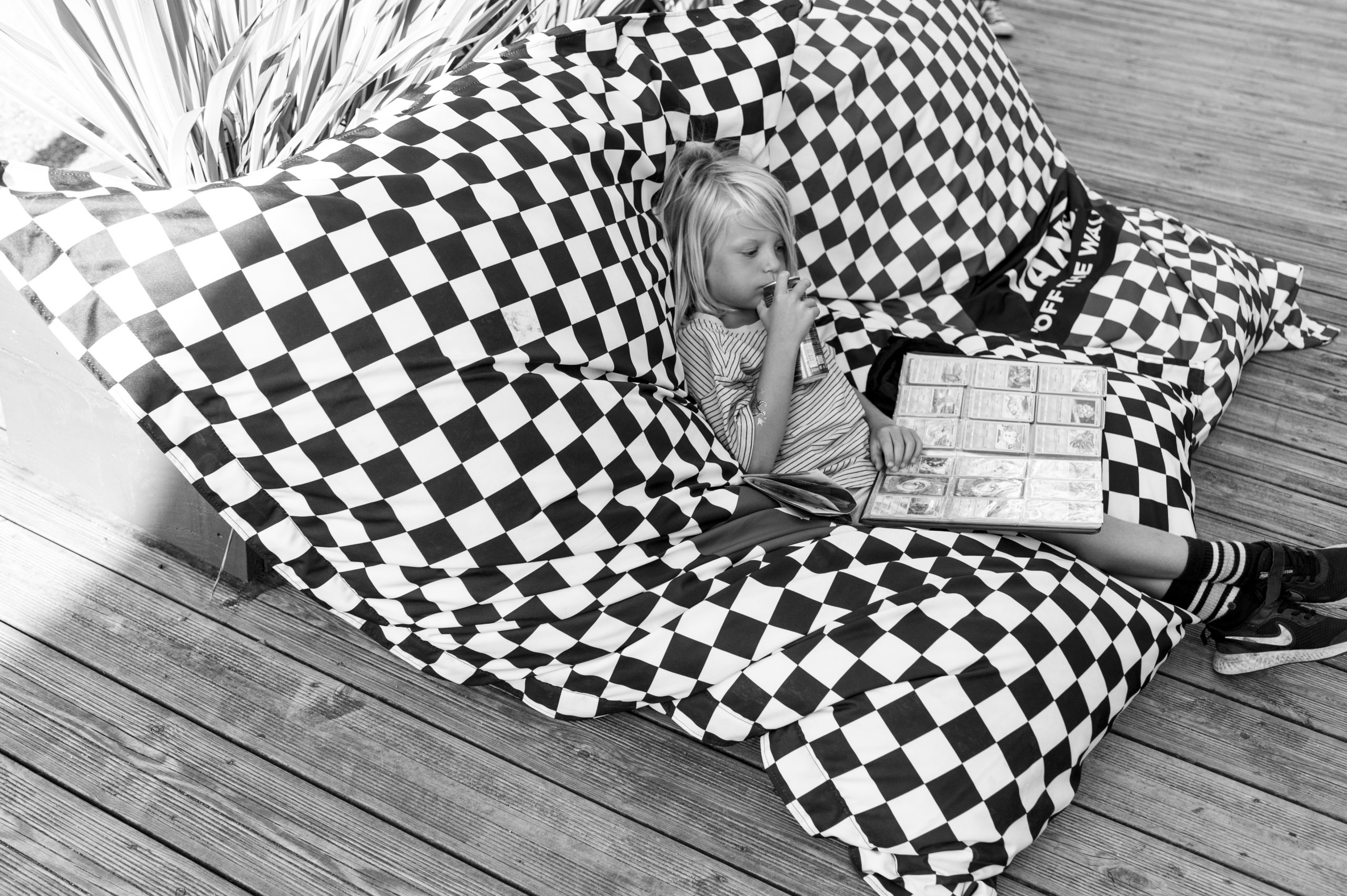 WastedTalent : VansDSC_6014