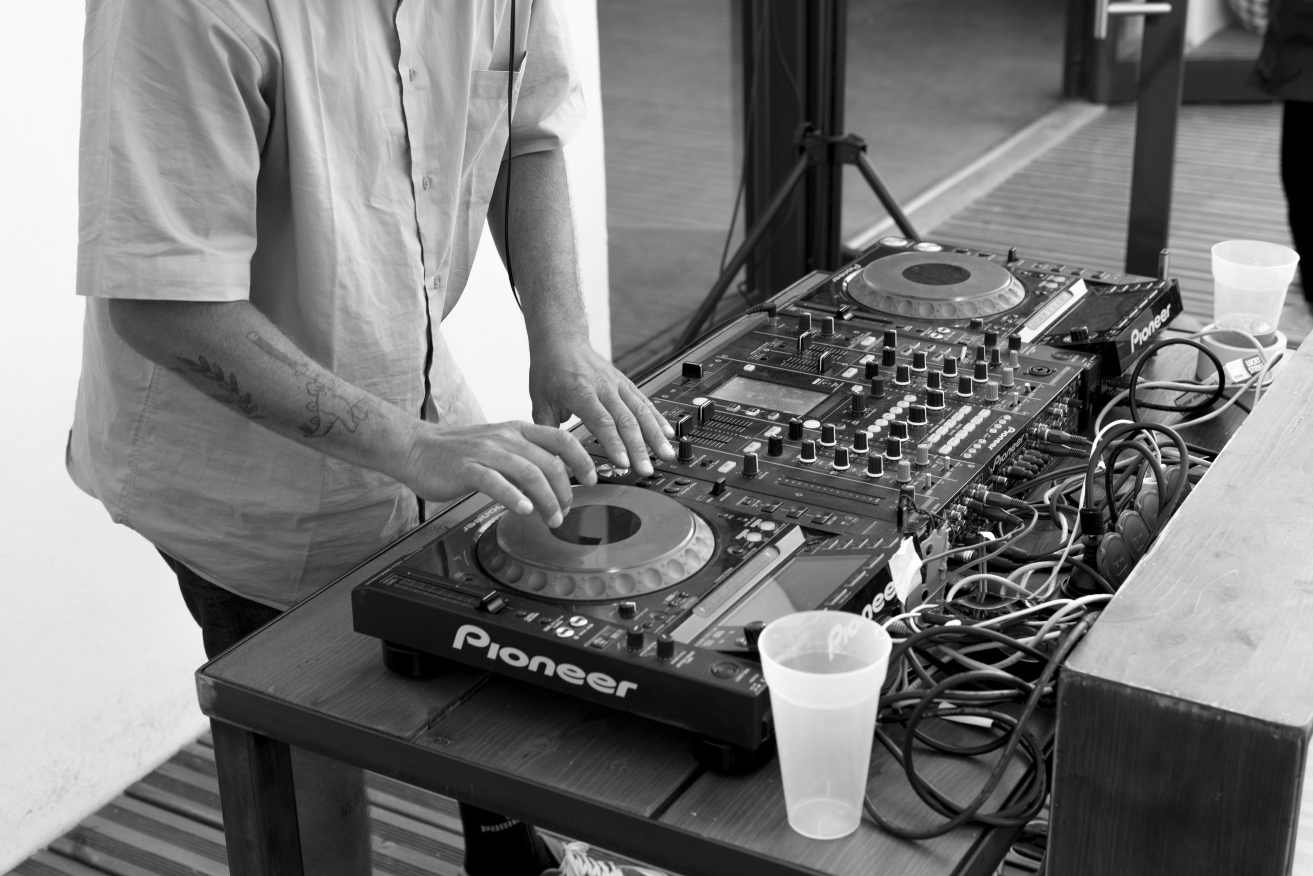 WastedTalent : VansDSC_6085