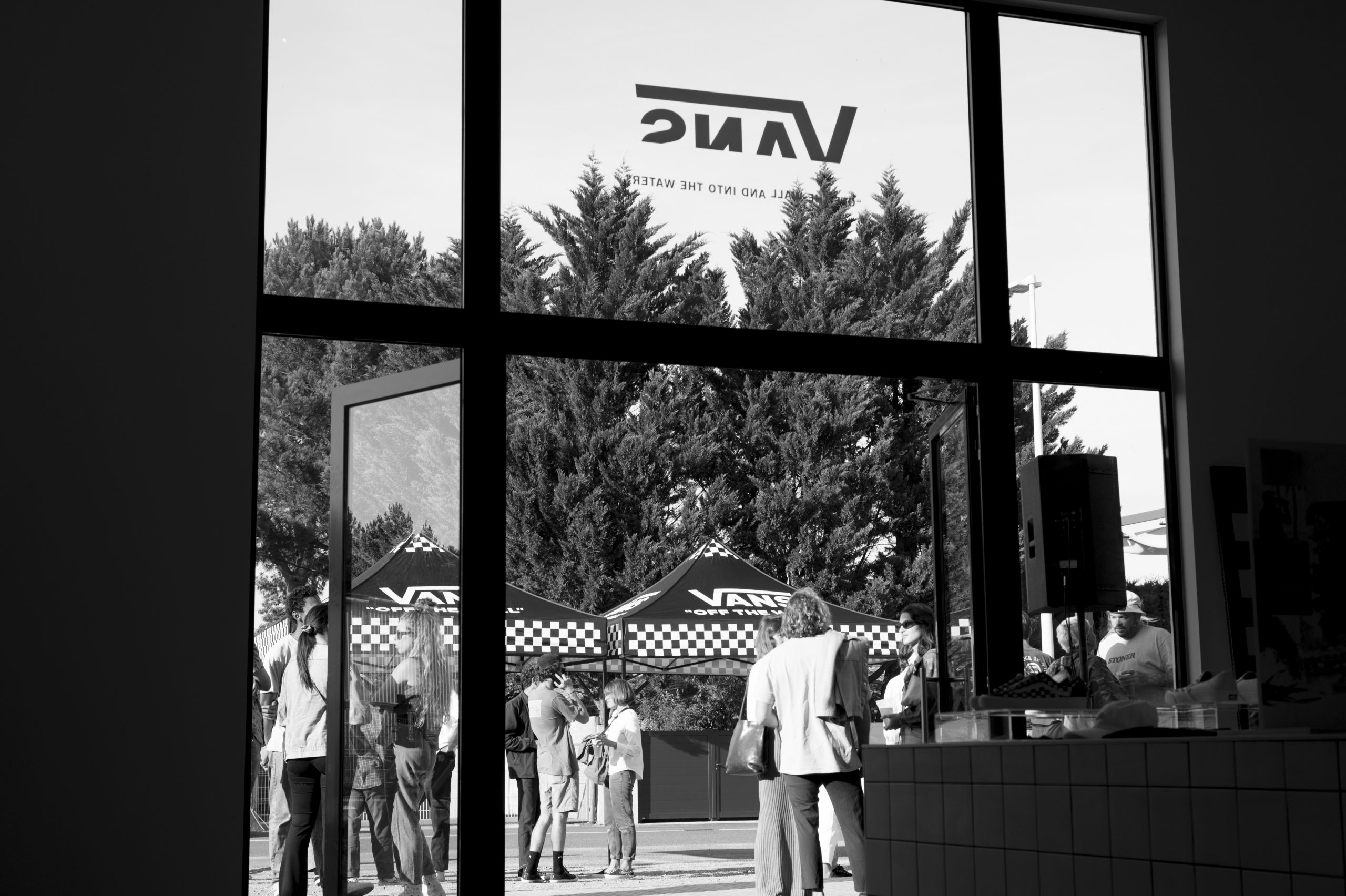 WastedTalent : VansDSC_6102