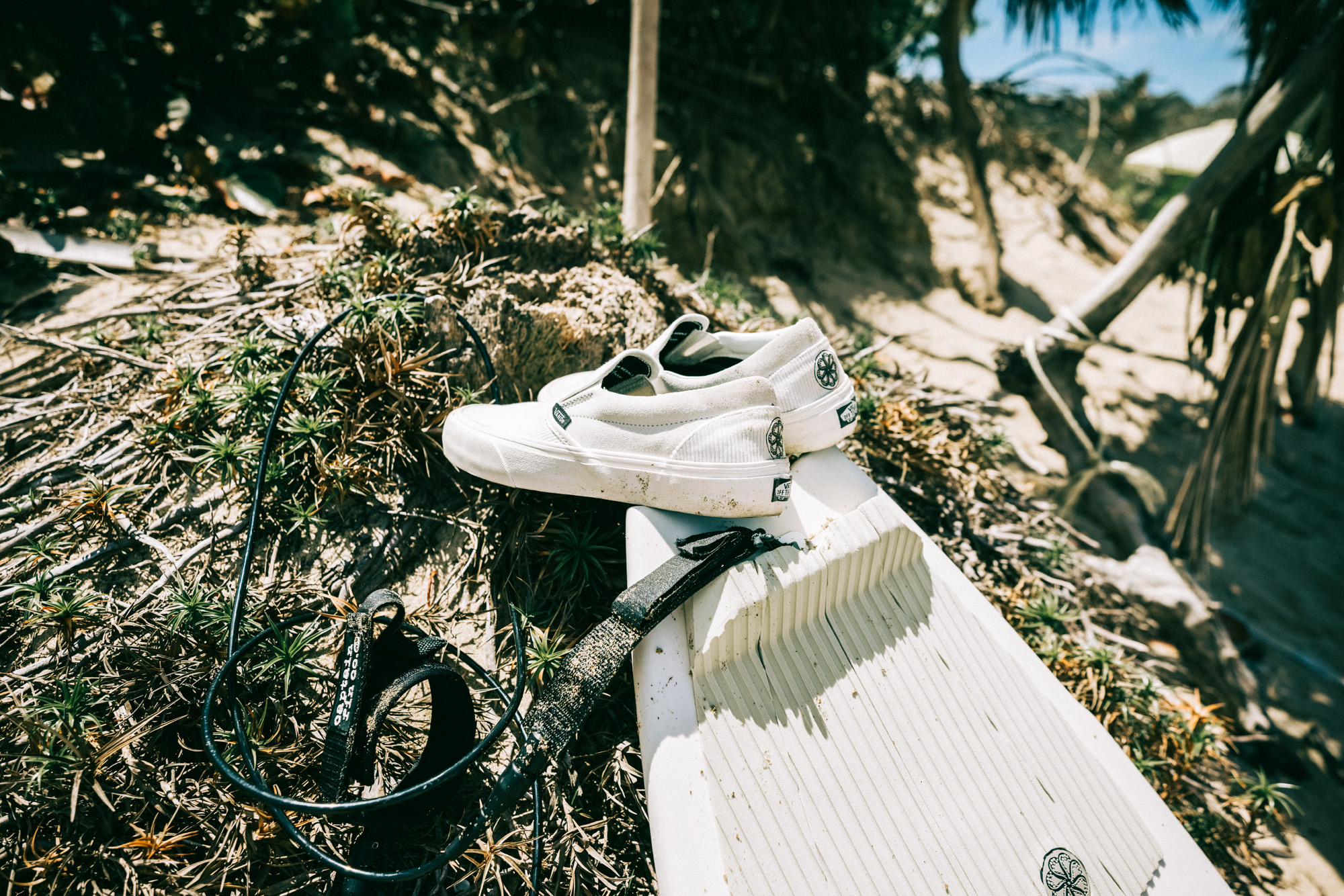 FA21_Surf_ClassicSlip-OnSF_Octopus_VN0A3MUC9IH_Mrshmlw_Pair_2N0A7064