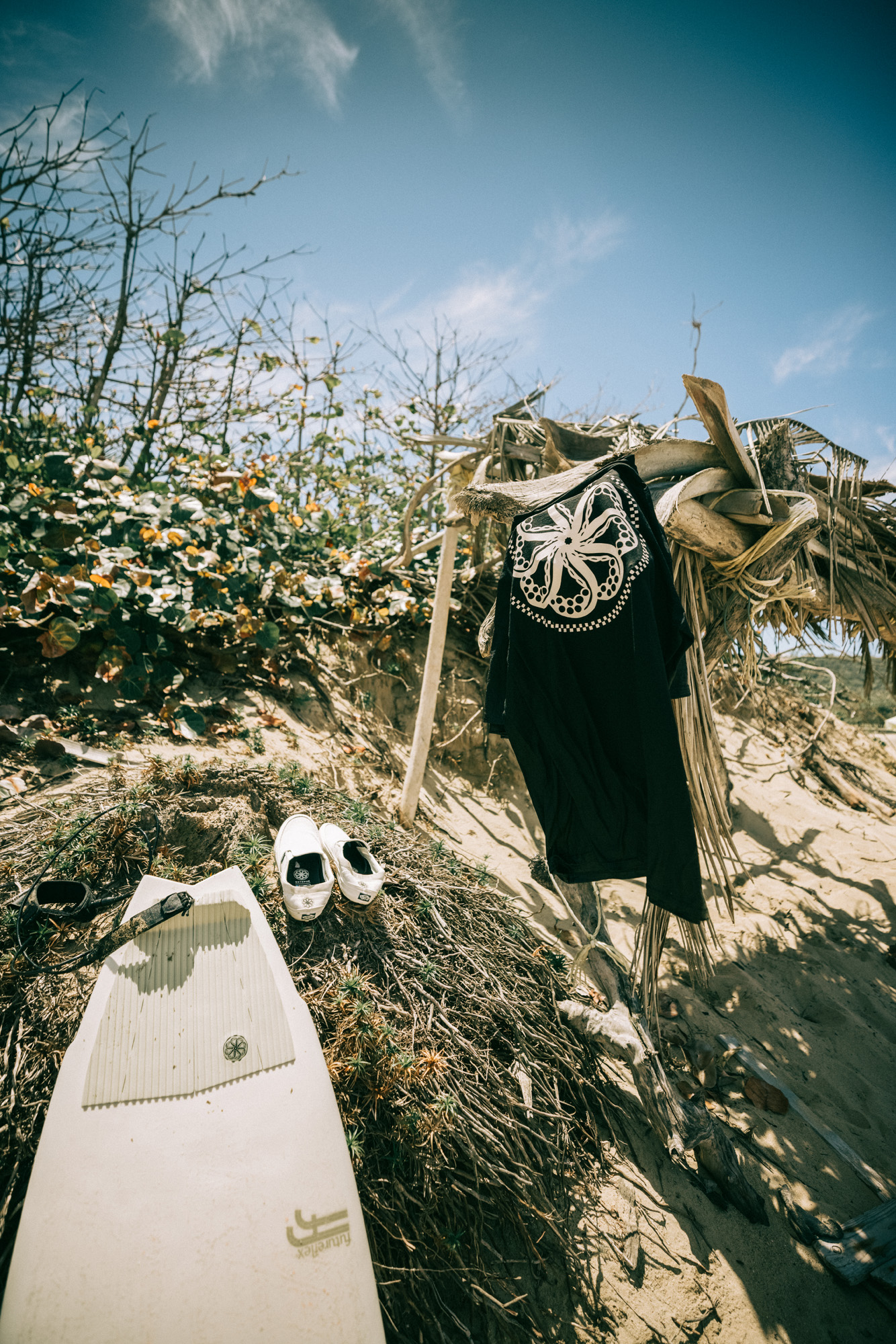 FA21_Surf_Octopus_Collection_2N0A7055