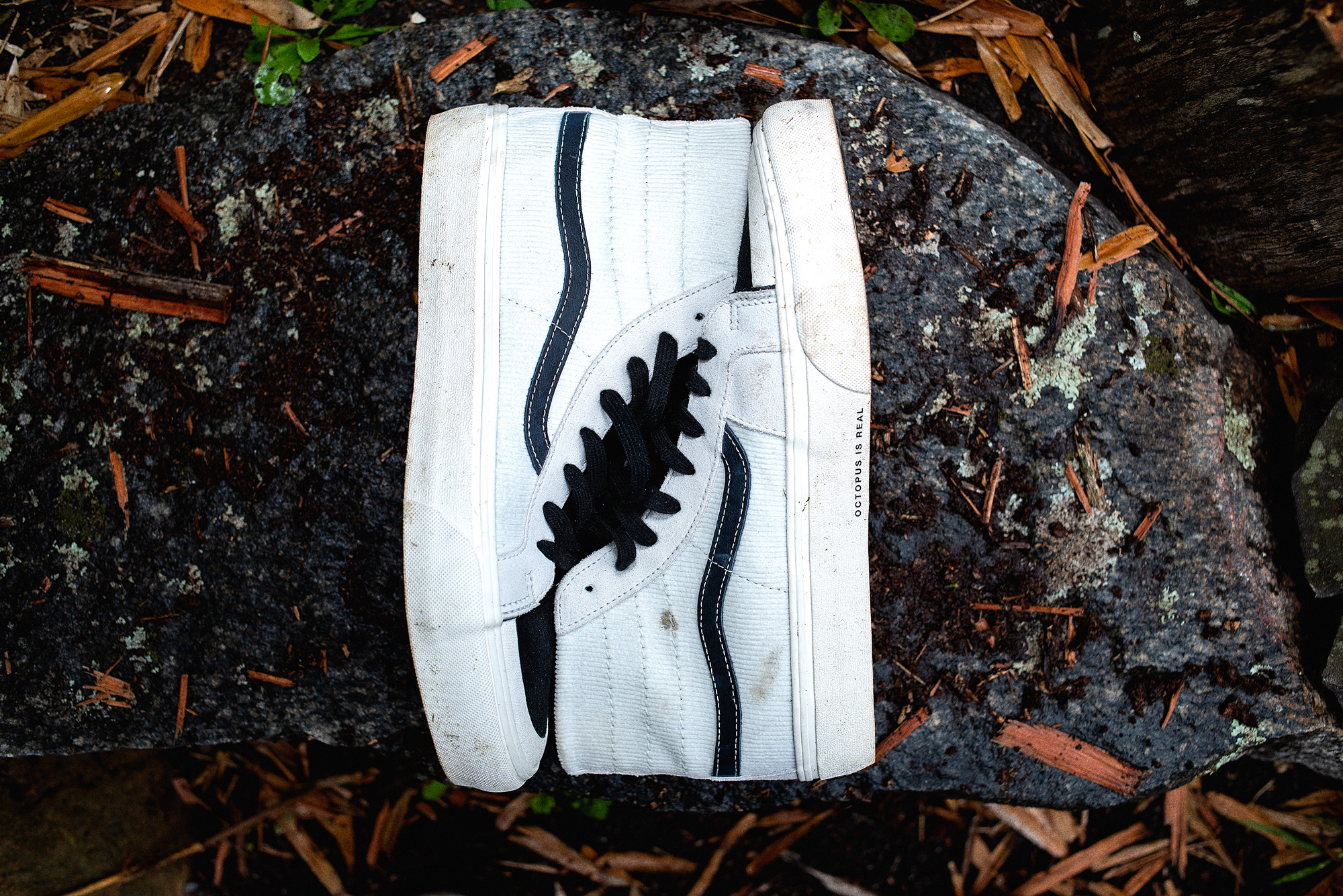 FA21_Surf_Sk8-Hi138DeconSF_Octopus_VN0A3MV19IH_Mrshmlw_Pair_DSC_5900