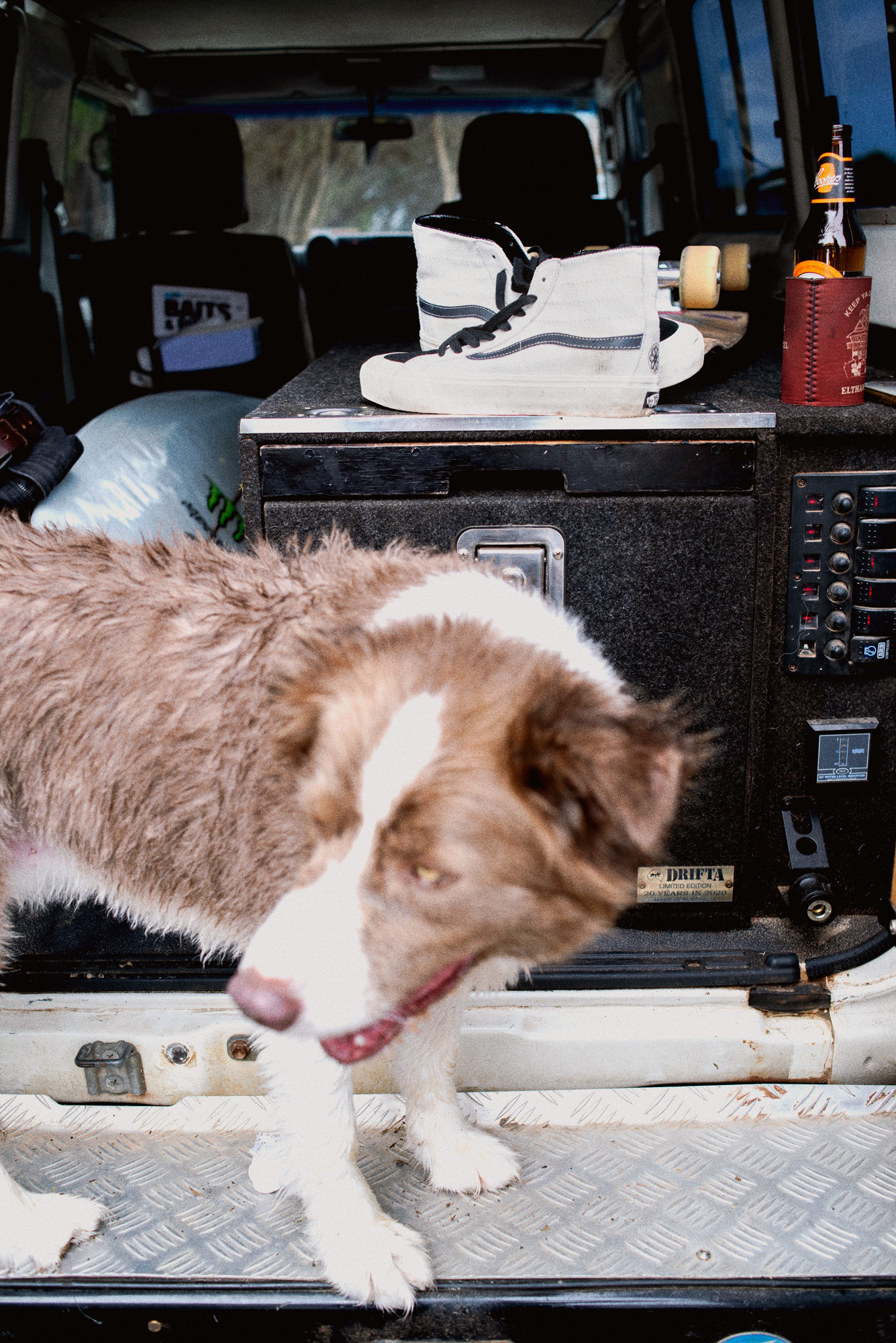 FA21_Surf_Sk8-Hi138DeconSF_Octopus_VN0A3MV19IH_Mrshmlw_Pair_DSC_6275