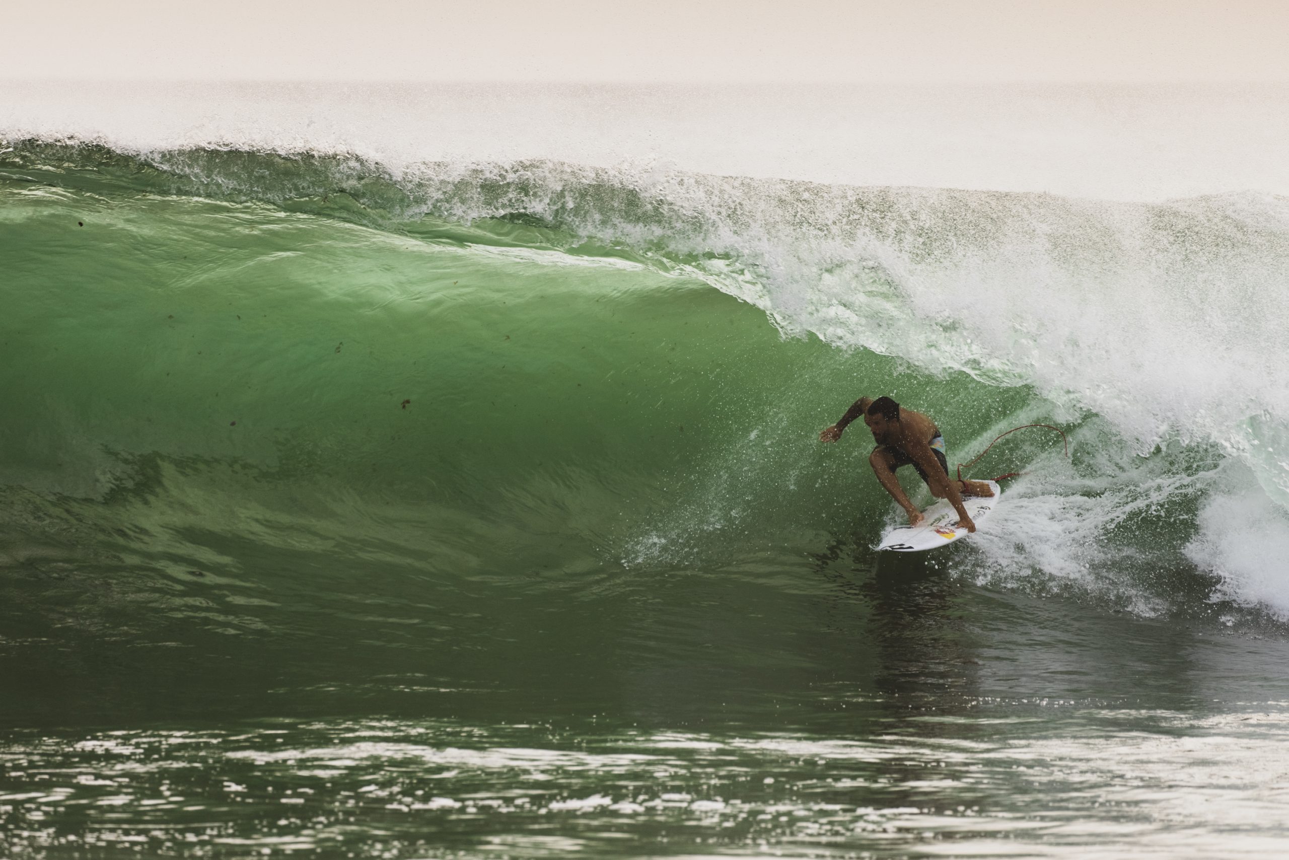 Fraternité @jimmycane 14