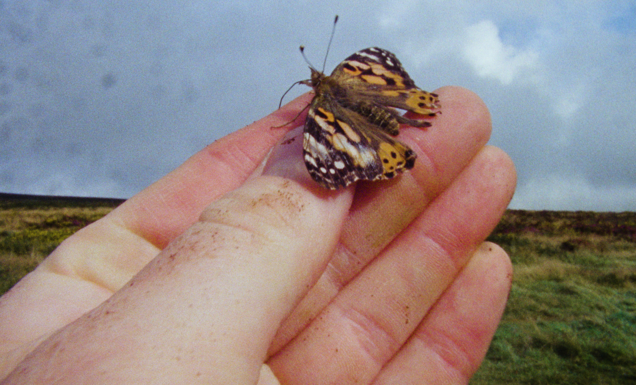 L036_C045_0128AB_001.00_39_13_08.Still206