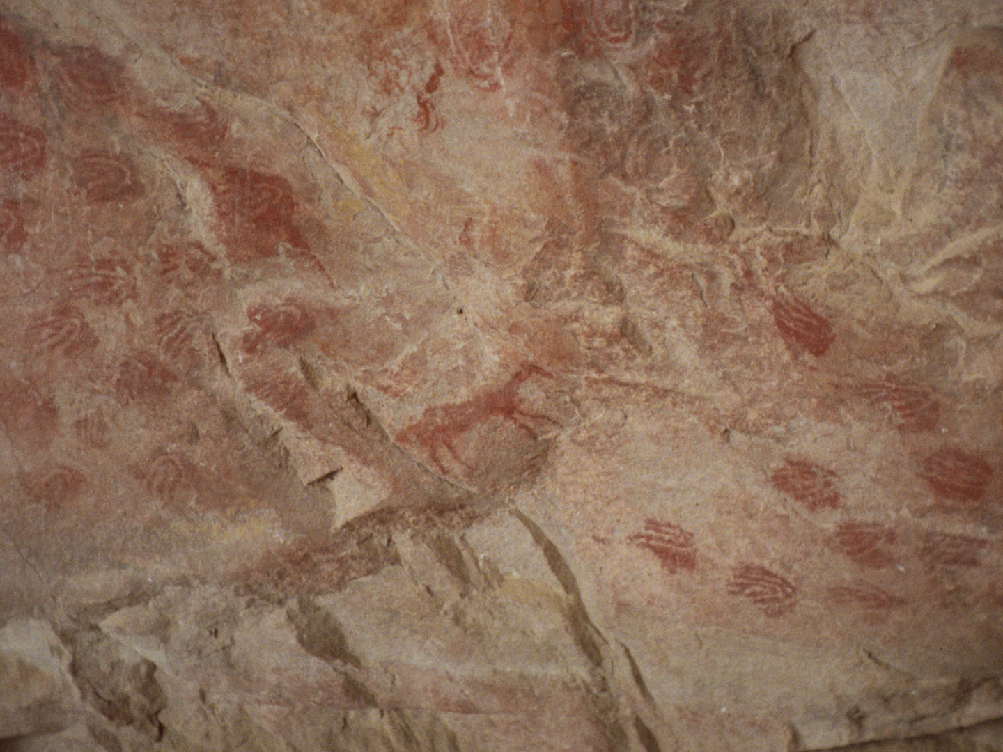 GOOD HOPE FRAMES @wastedtalentintl @yentlt 045