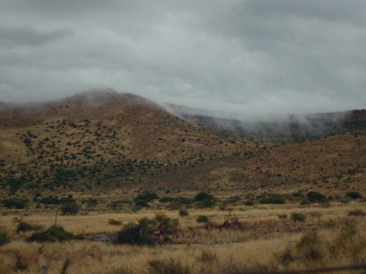 GOOD HOPE FRAMES @wastedtalentintl @yentlt 081