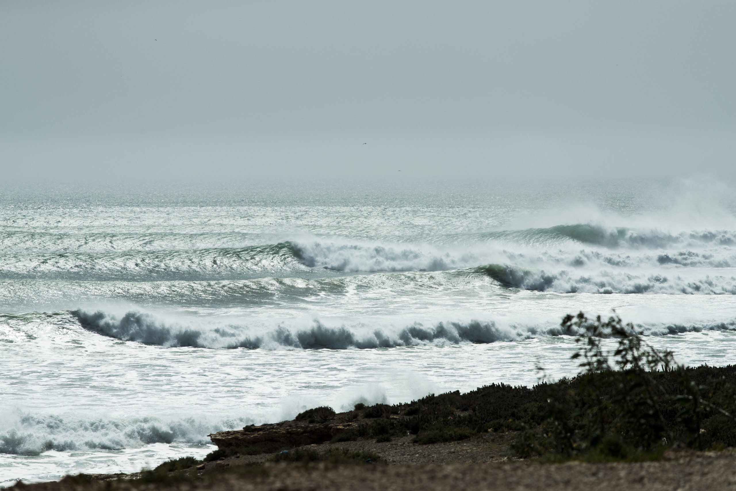 Billabong Adventure Division