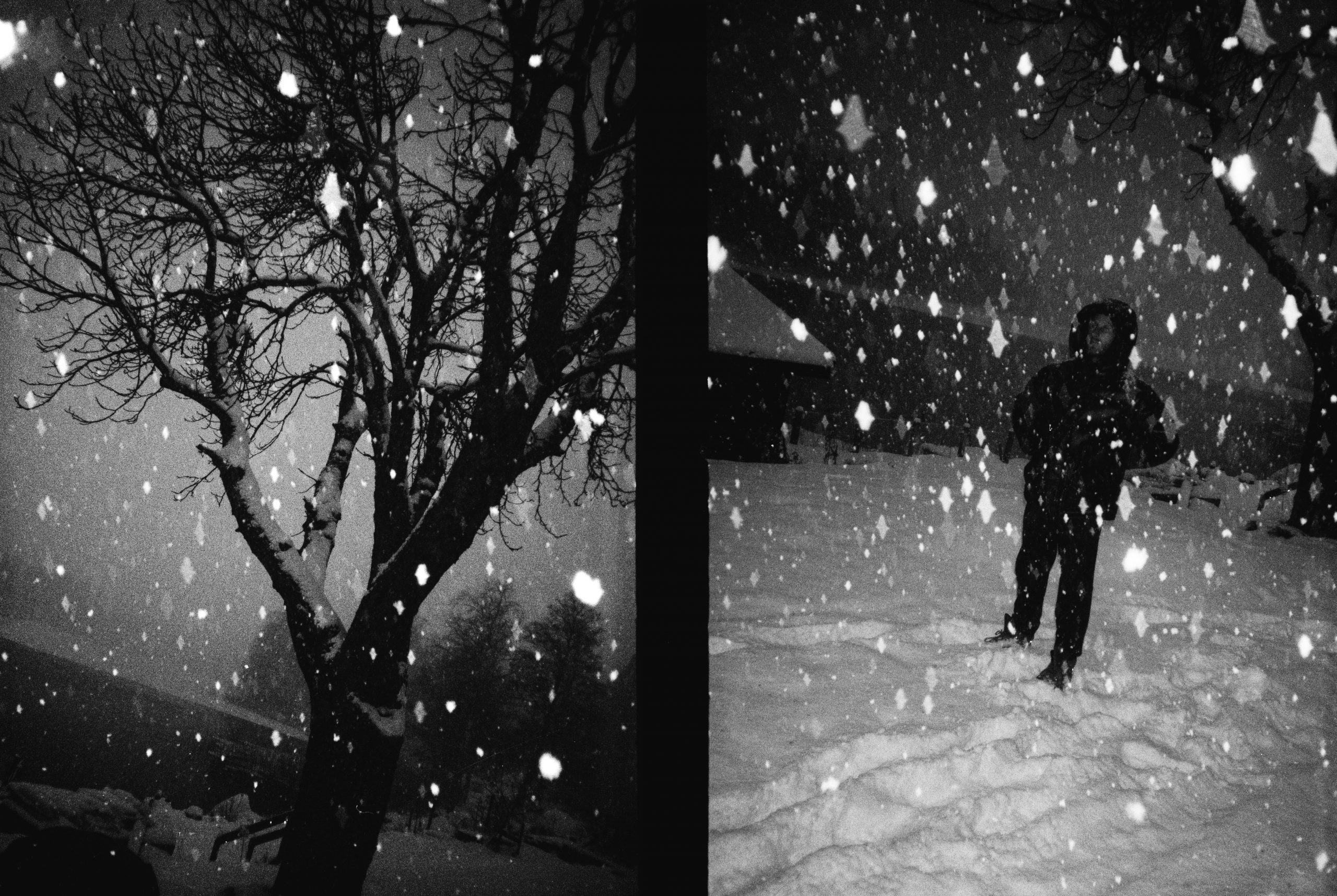 2024_02_04 WT Mystic Sweeden analog40