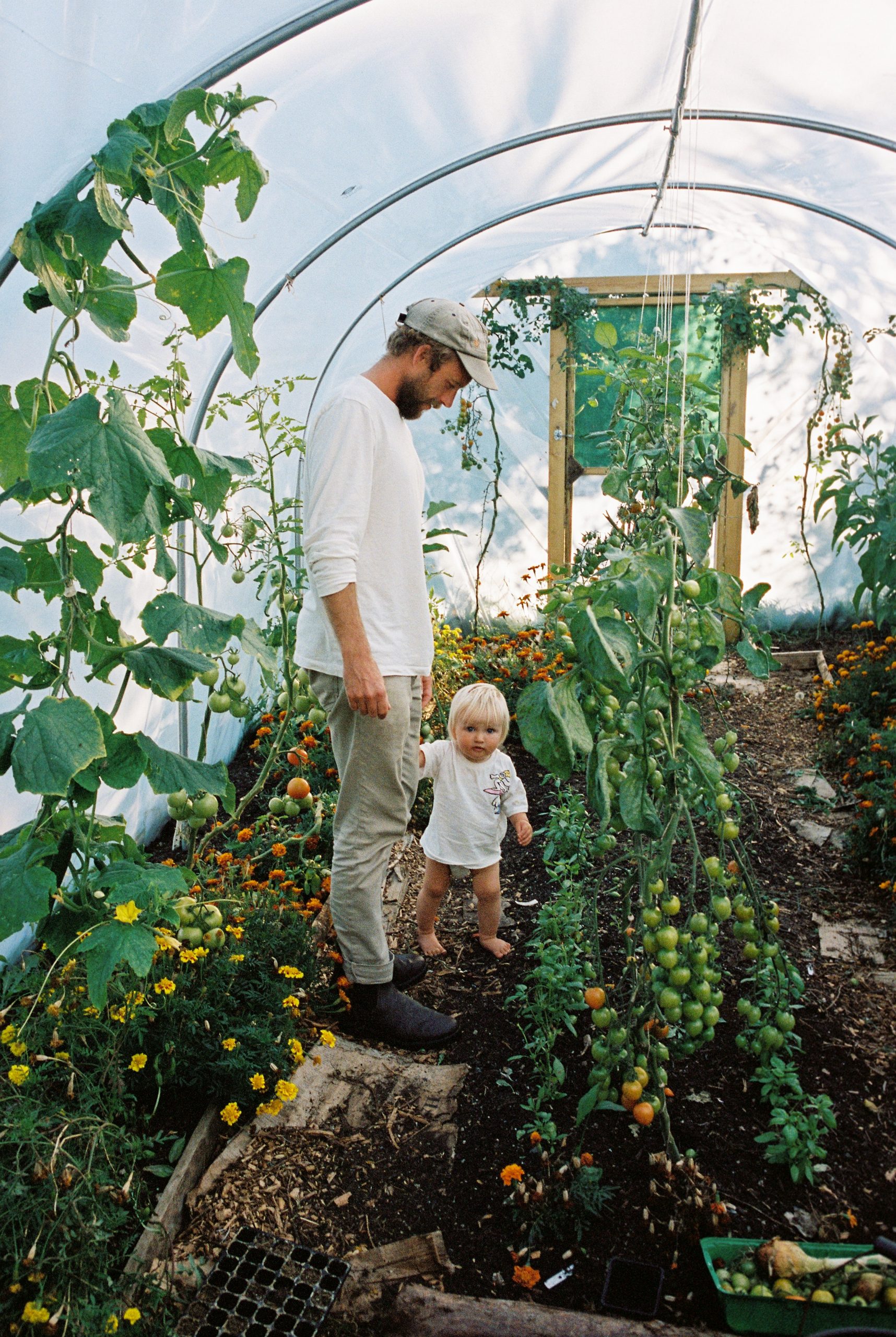 CIMETIERE CORNWALL-1-13-1-5
