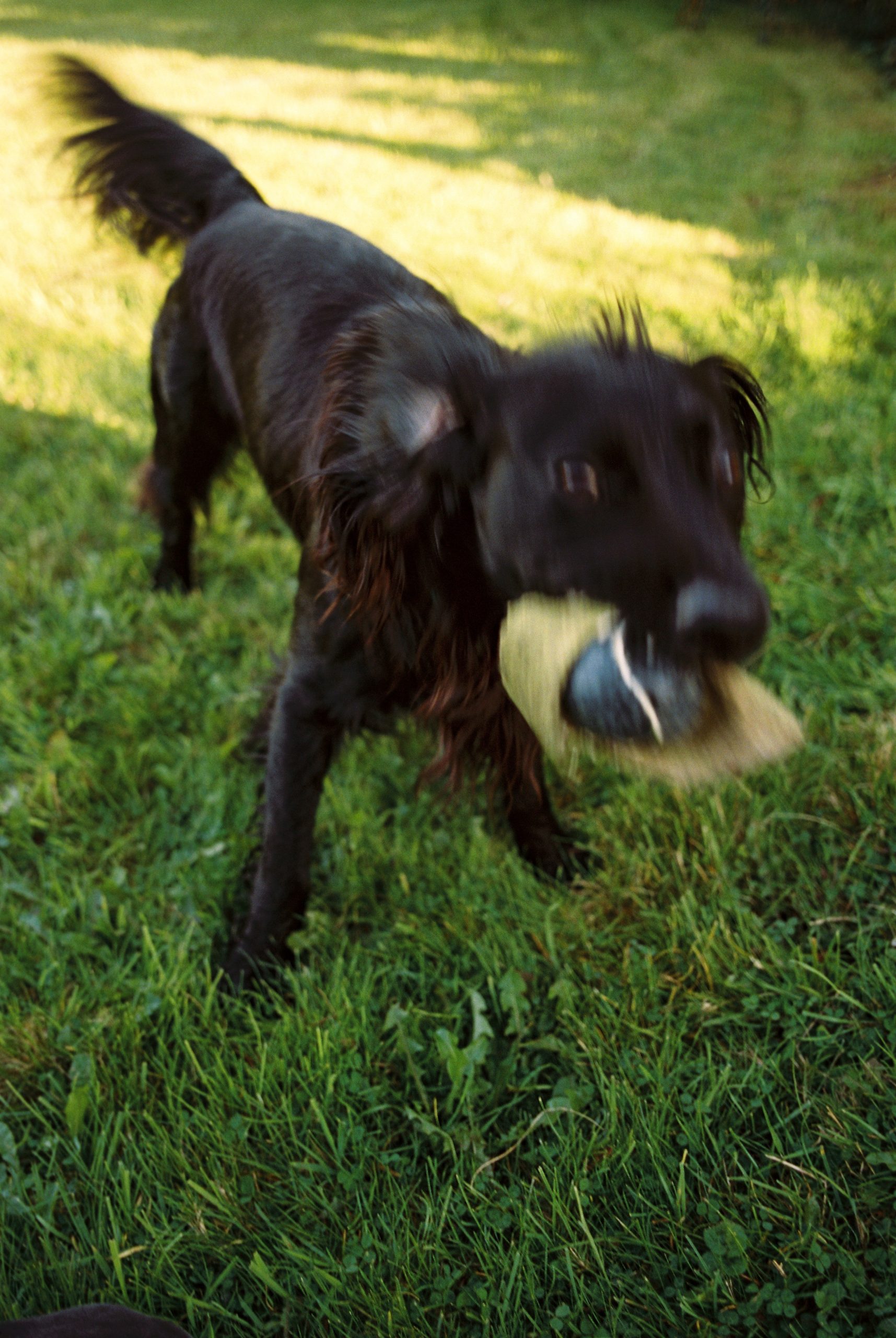 CIMETIERE CORNWALL-1-13-1