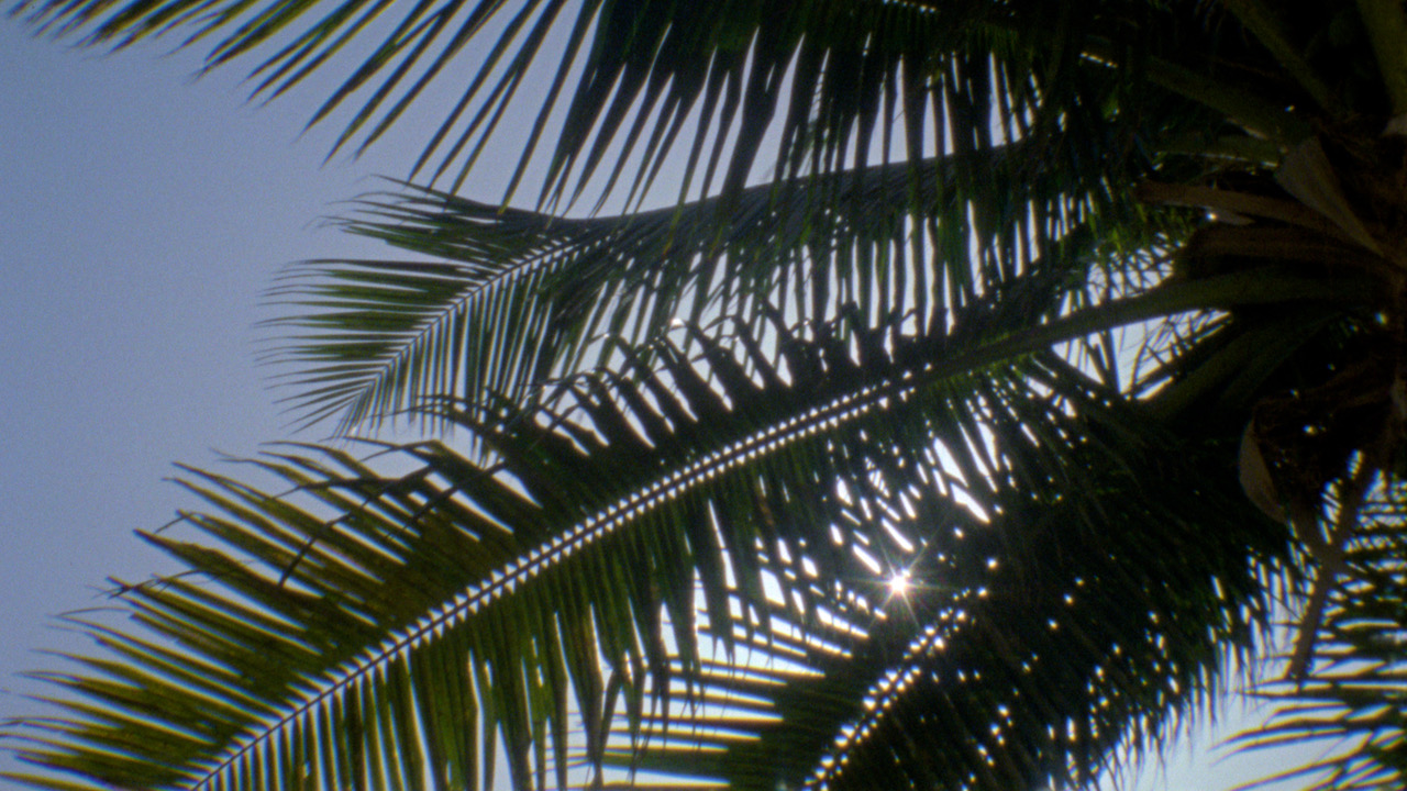 EDIT.00_02_33_11.Still032