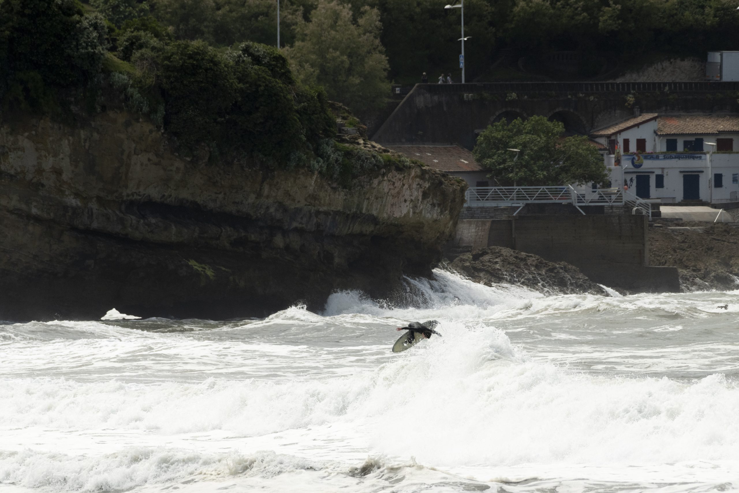 NIL : TOM MORATDSC_9586