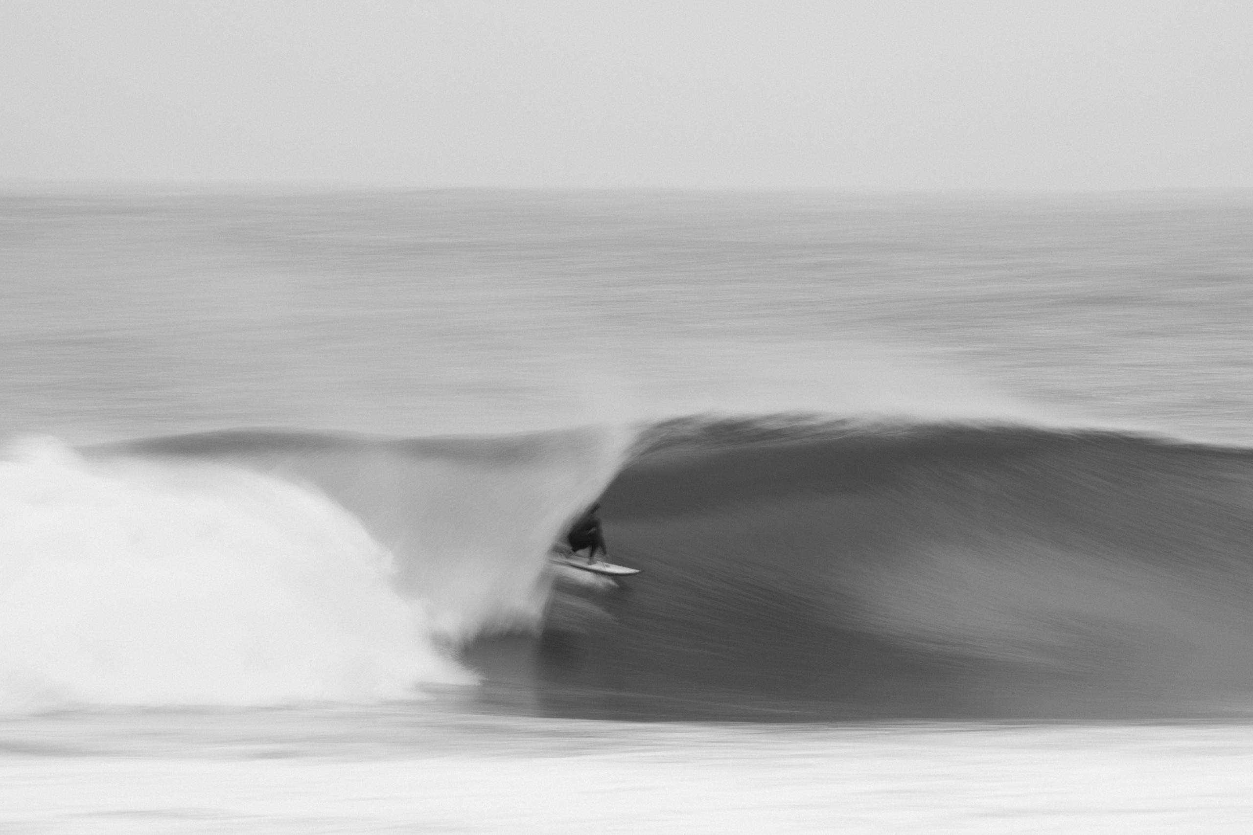 TOM : NIl PUISSANT DSC_5135