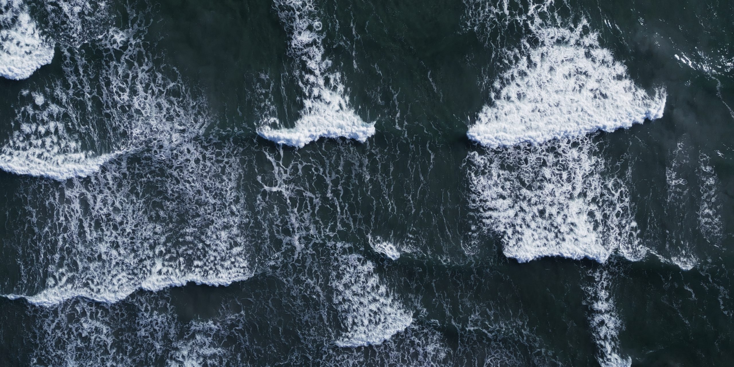 Still 2024-05-24 195307_1.7.1