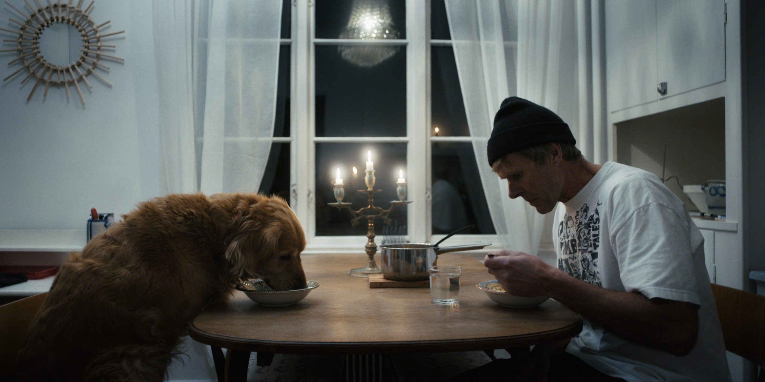 Still 2024-05-24 195307_1.71.1