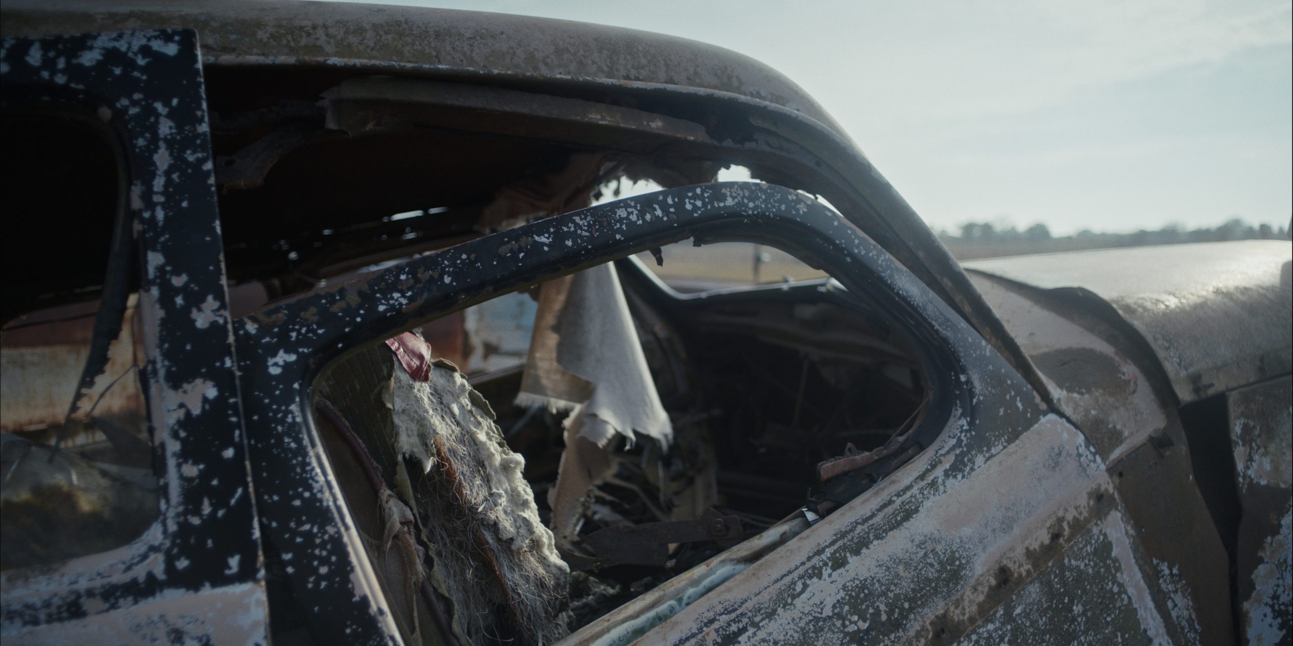 Still 2024-05-24 195307_1.92.1