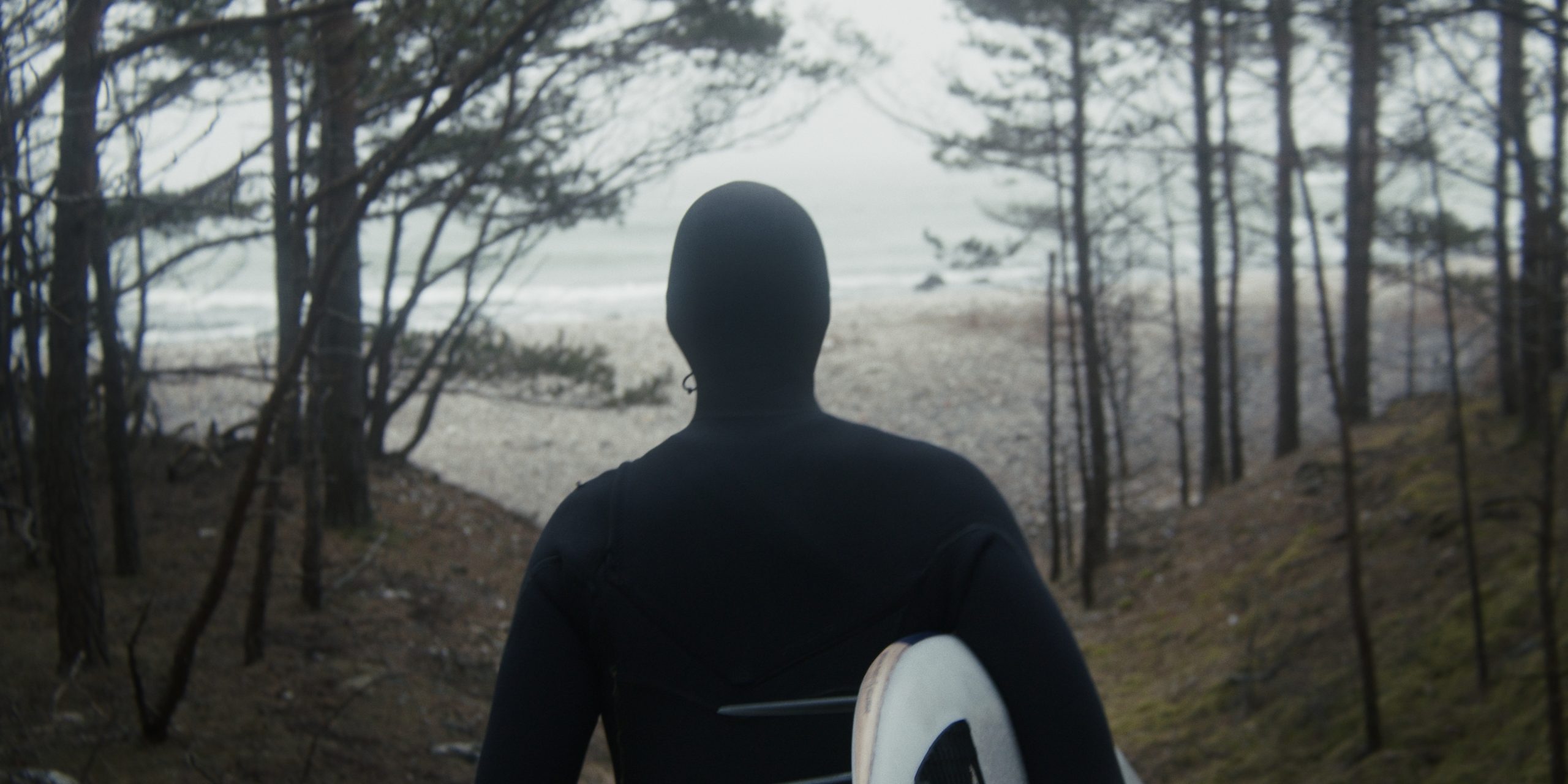 Still 2024-05-24 195307_2.18.1