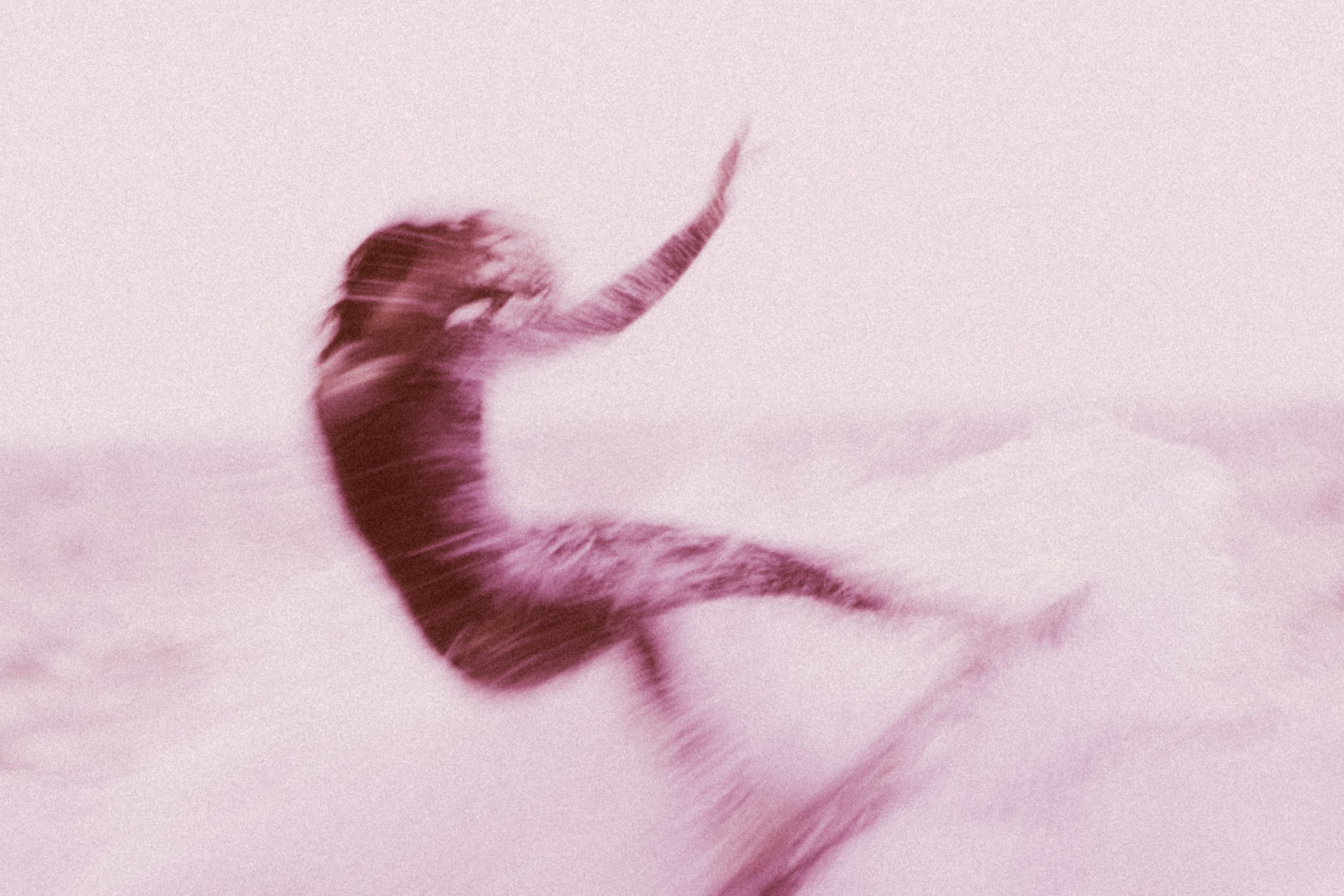 WestAdler_CA-9Oct_VeniceSunrise