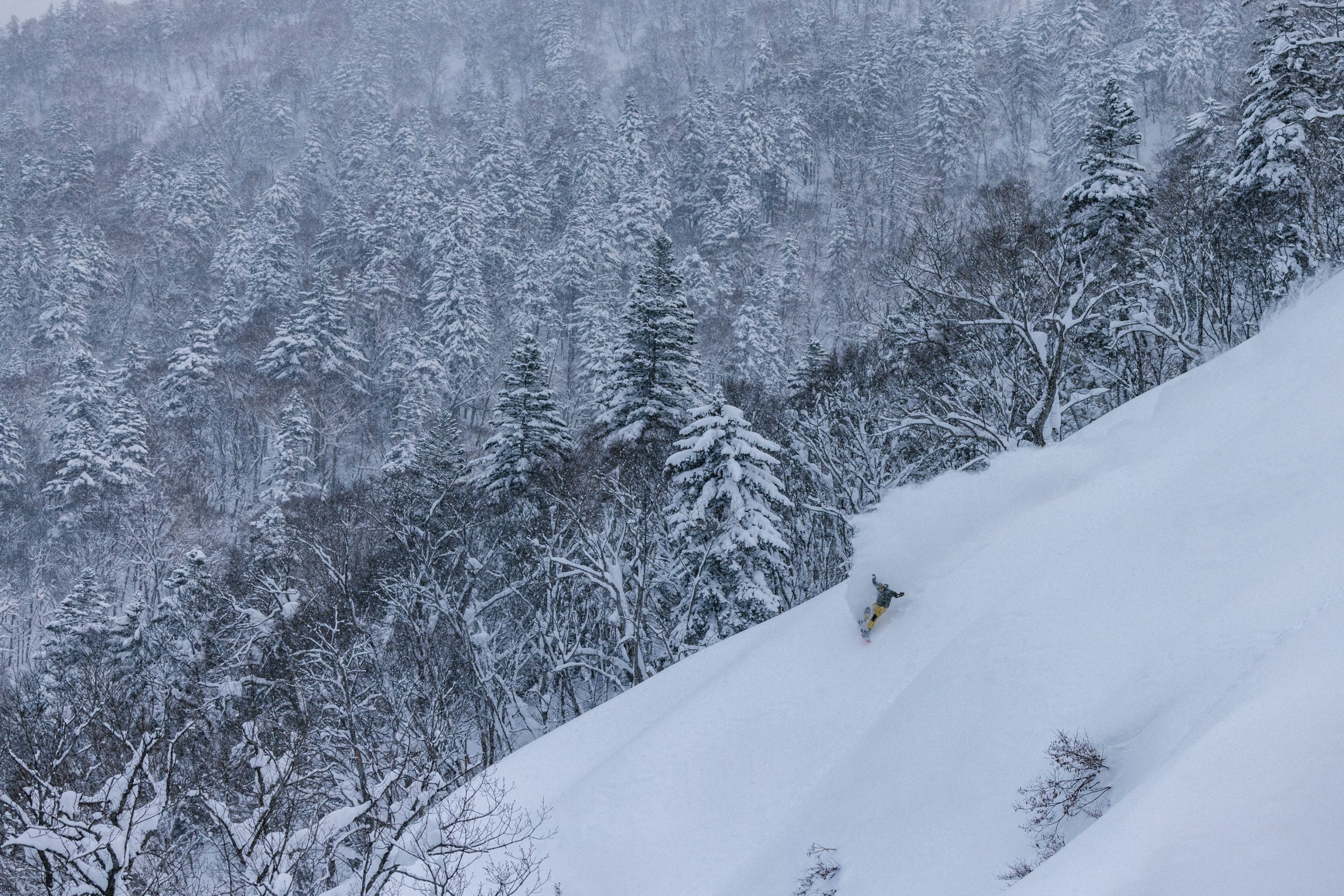 ARTHUR_LONGO_JAPAN_SOCIAL_SUNBUM_PERLY-3629