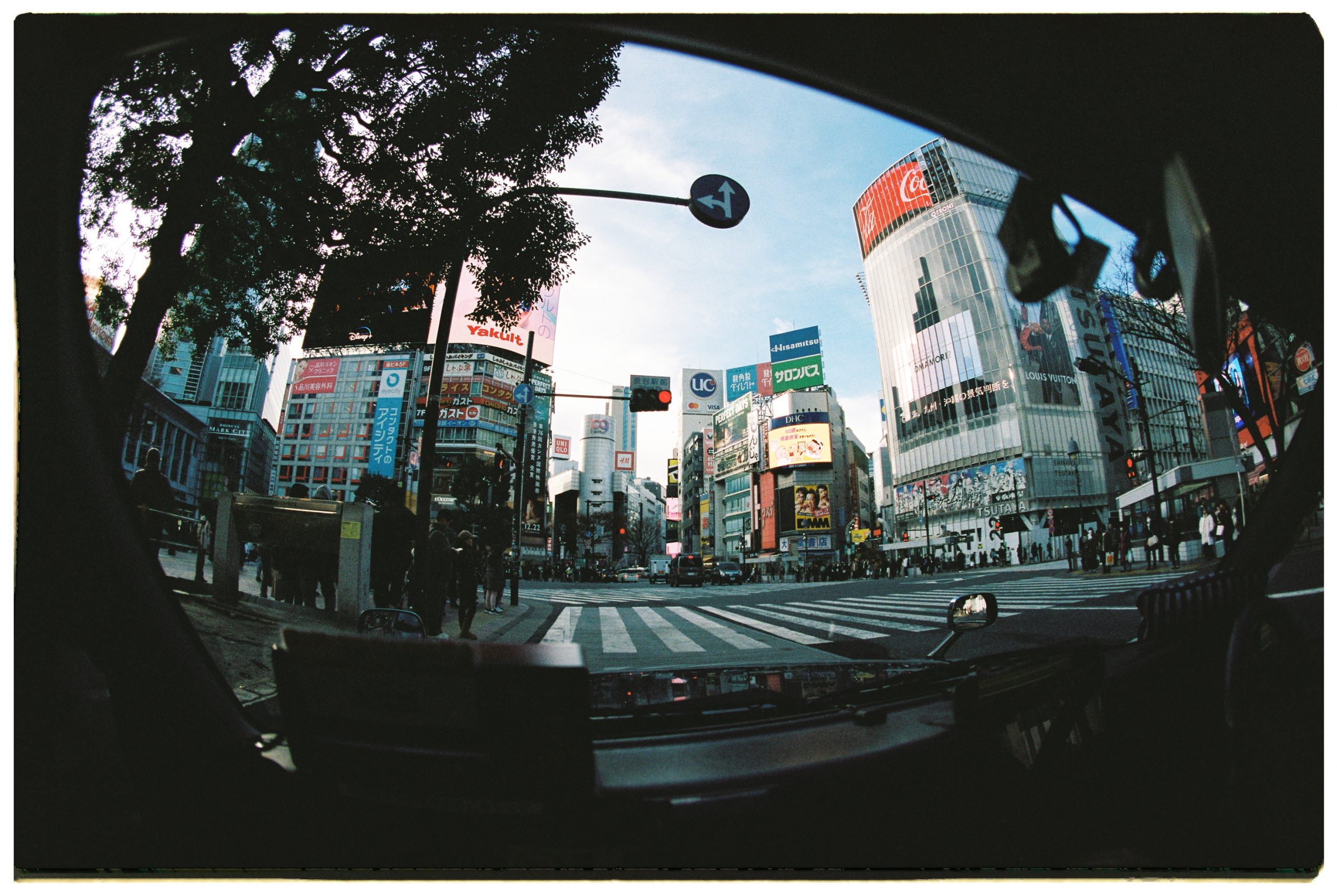 JAPAN_SOCIAL_SUNBUM_PERLY-331