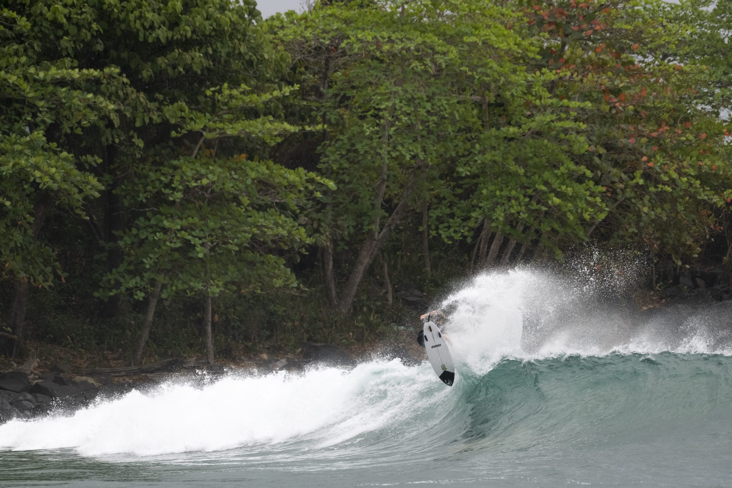 NIL : LIBERIADSC_3993