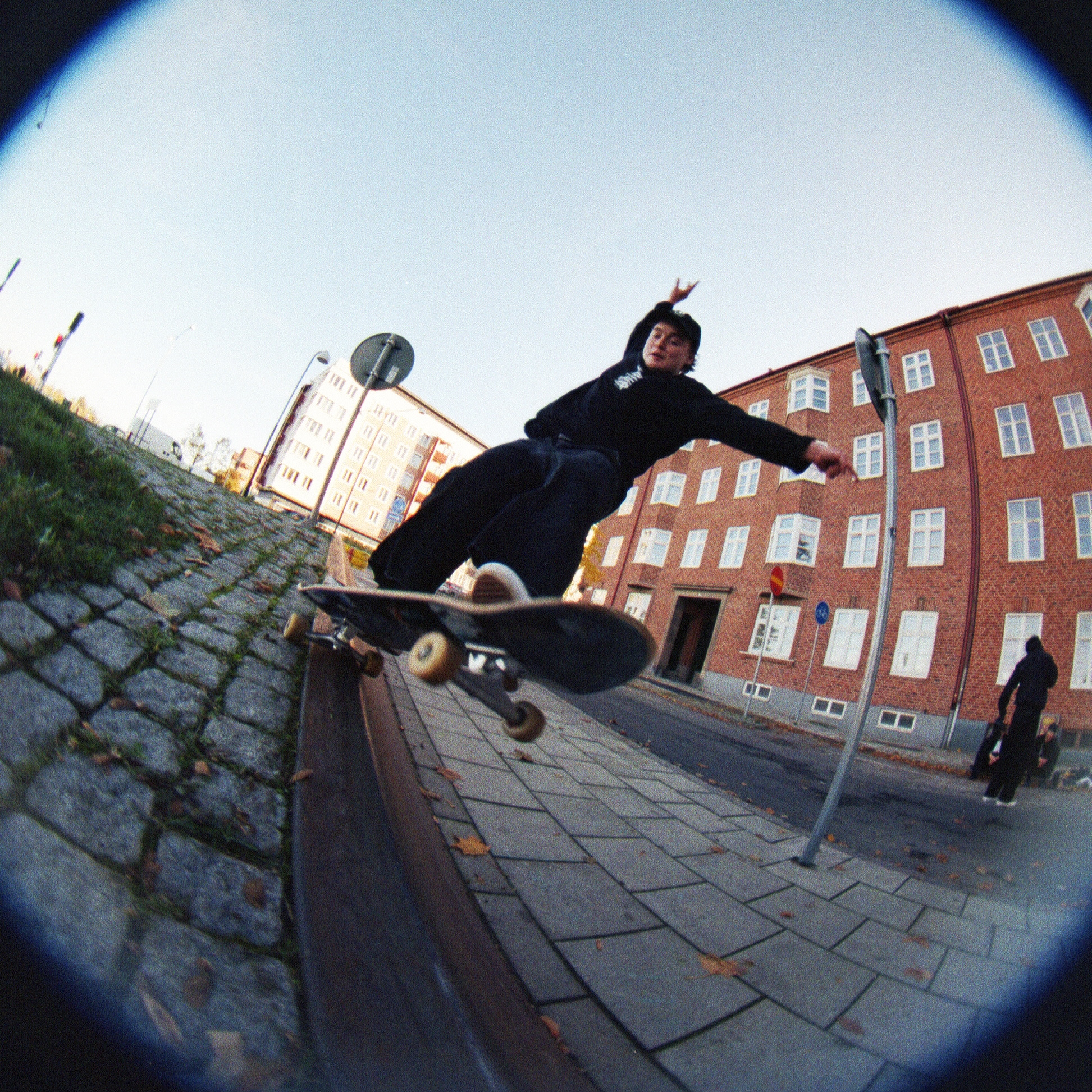 Wasted x Poetic Moa 5-0