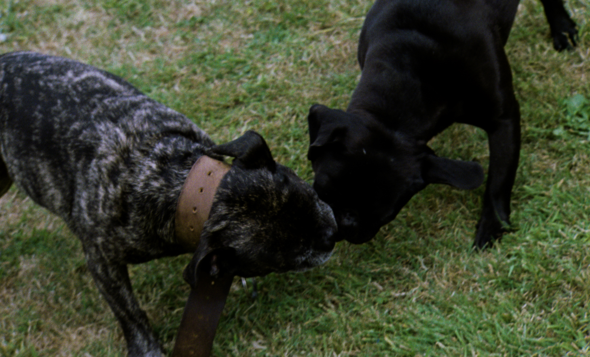 001.00_04_57_12.Still002