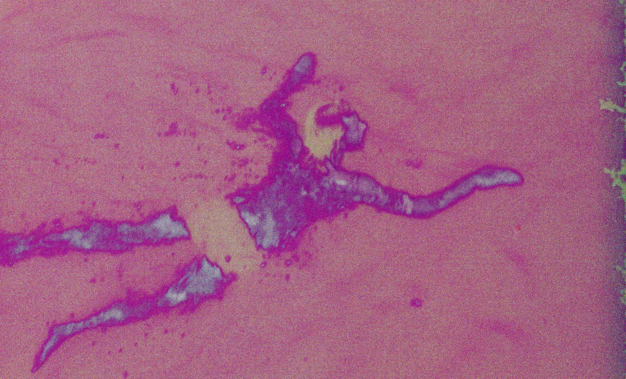 001.00_12_05_21.Still061