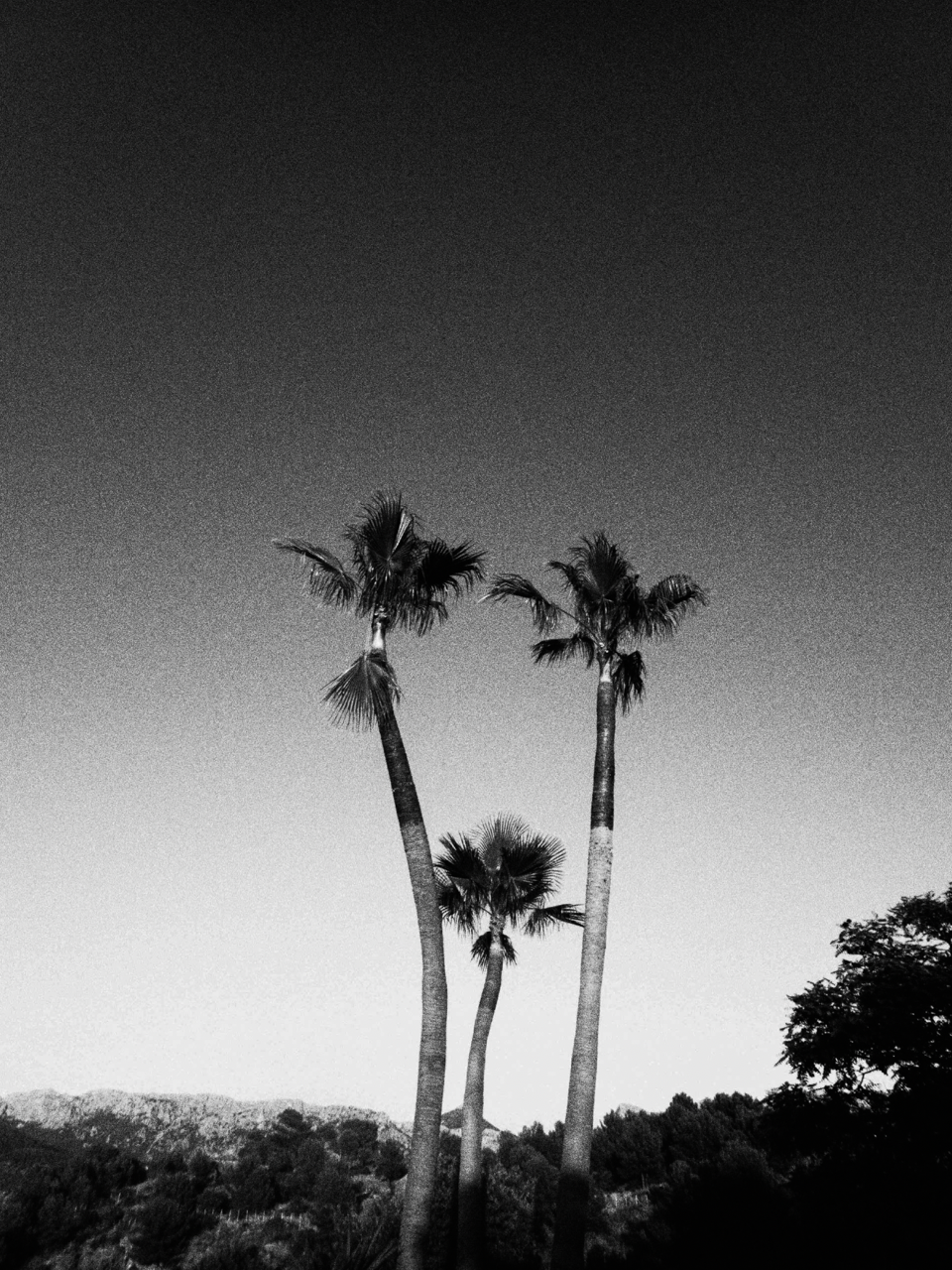 Screenshot 2025-06-03 at 16.09.29