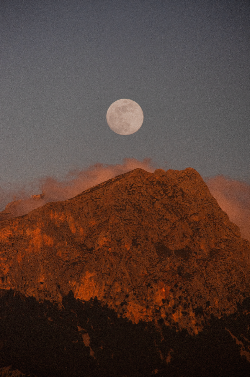 Screenshot 2025-06-03 at 16.11.22